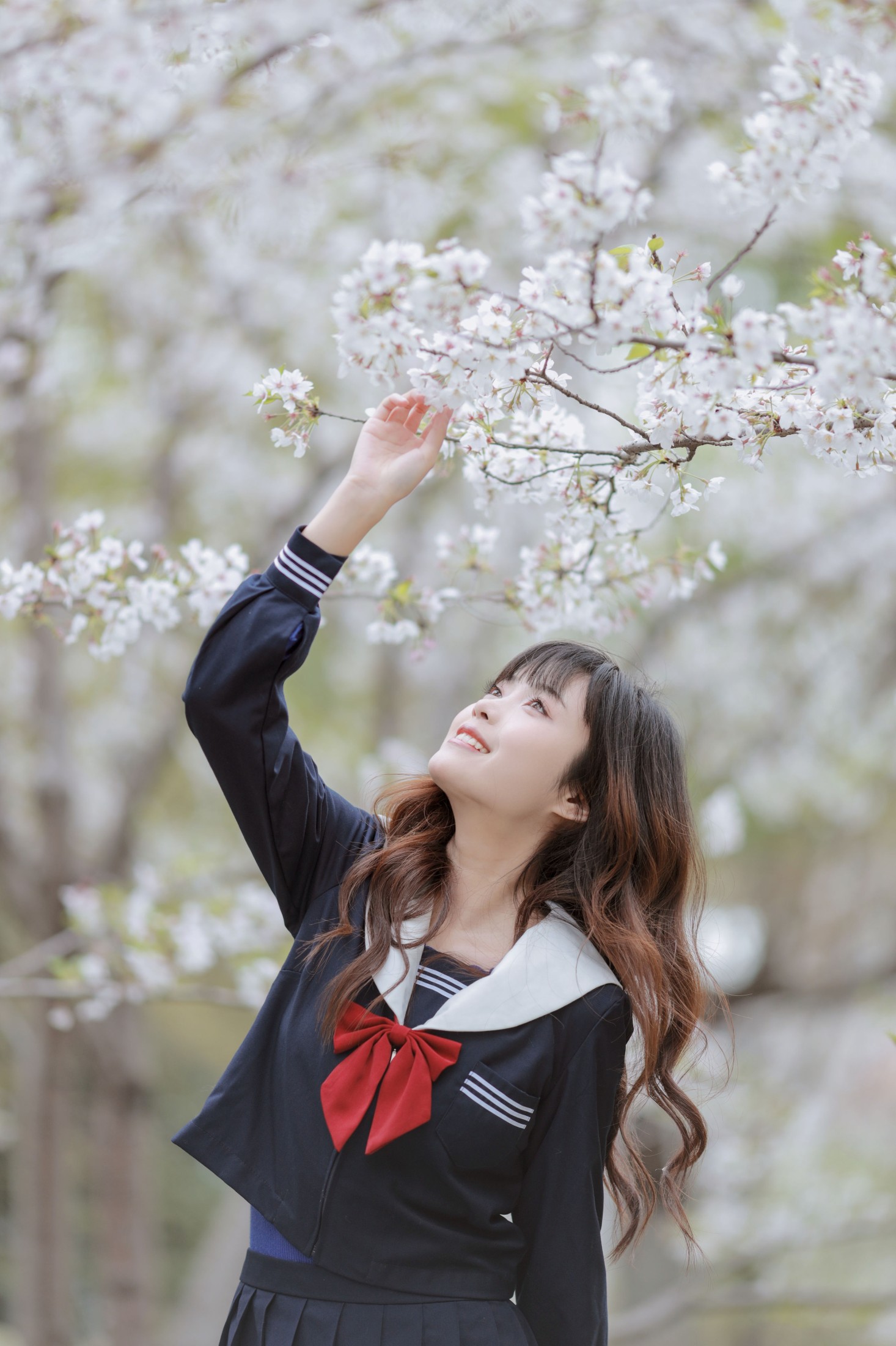 小薇人儿 – 《樱花树下》[28P]