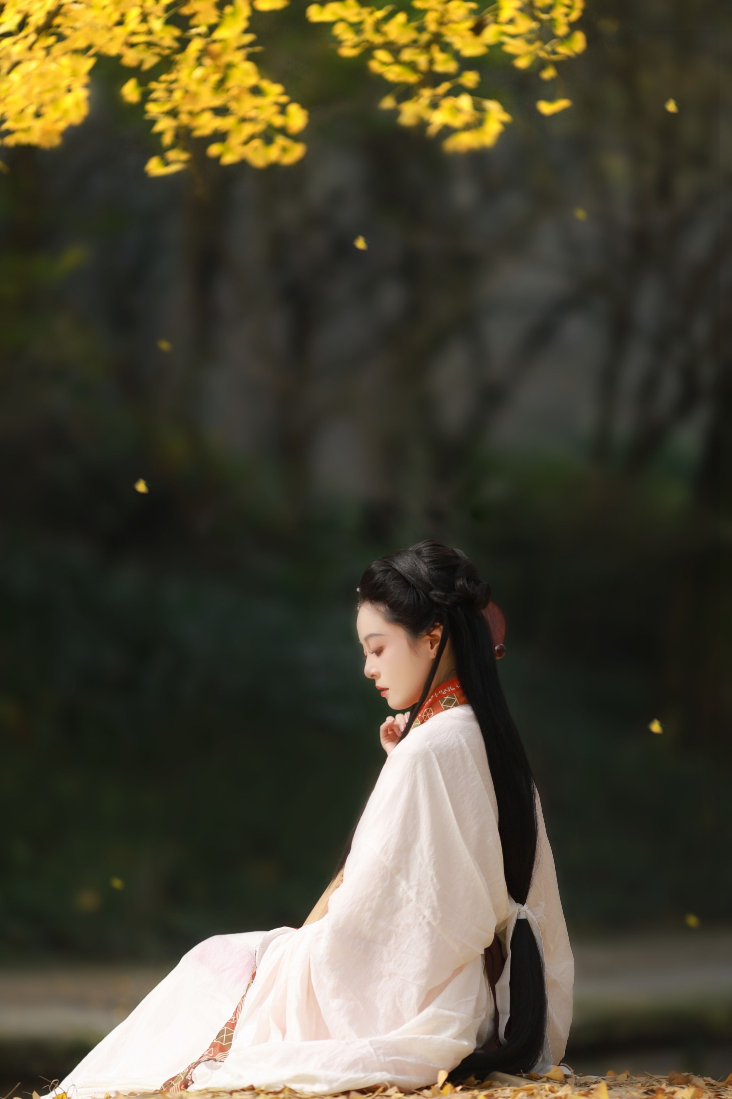 岁岁如意 – 《秋之色》[22P]