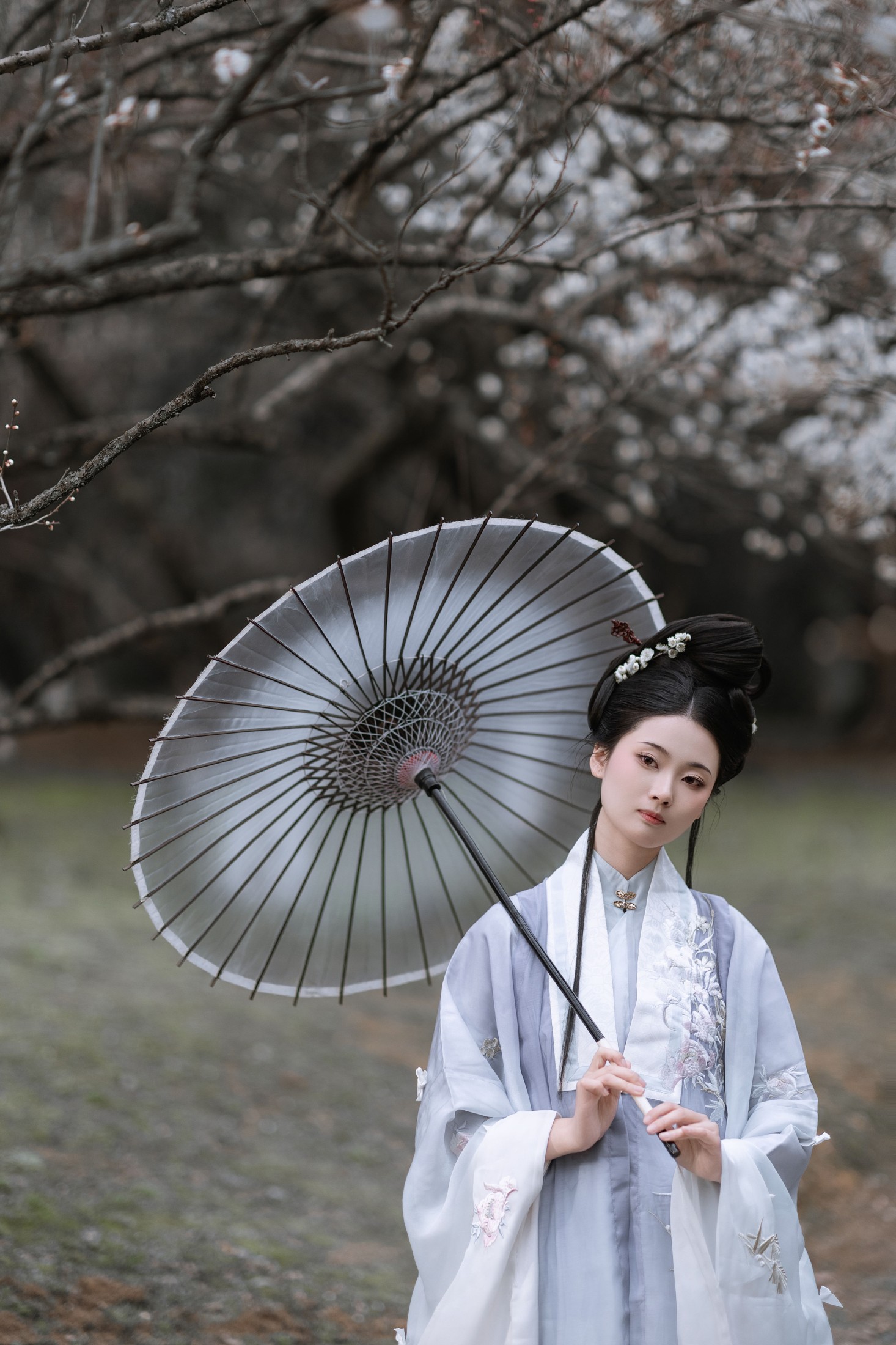 汀贰 – 《问梅》[32P]