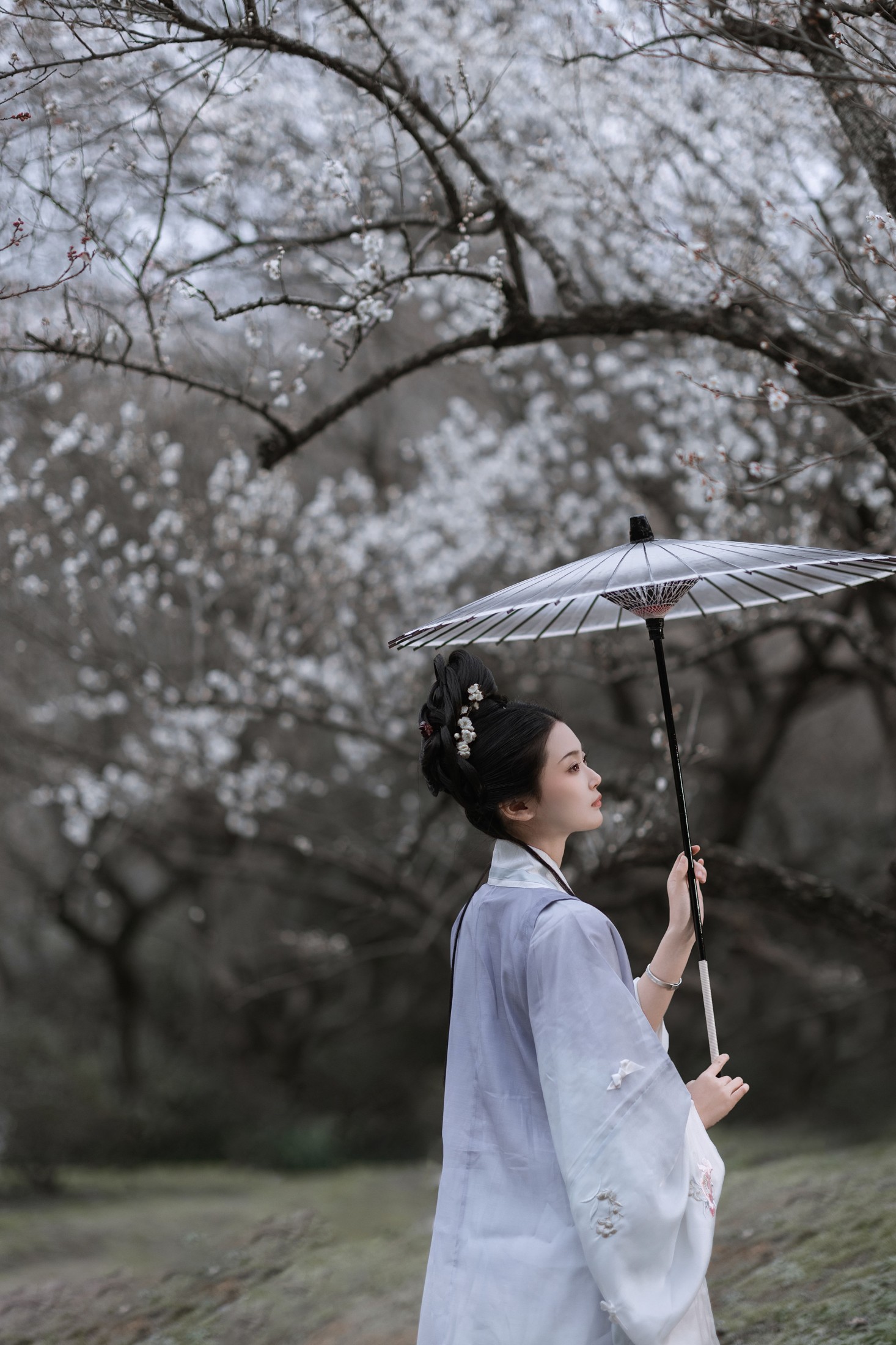 汀贰 – 《问梅》[32P]