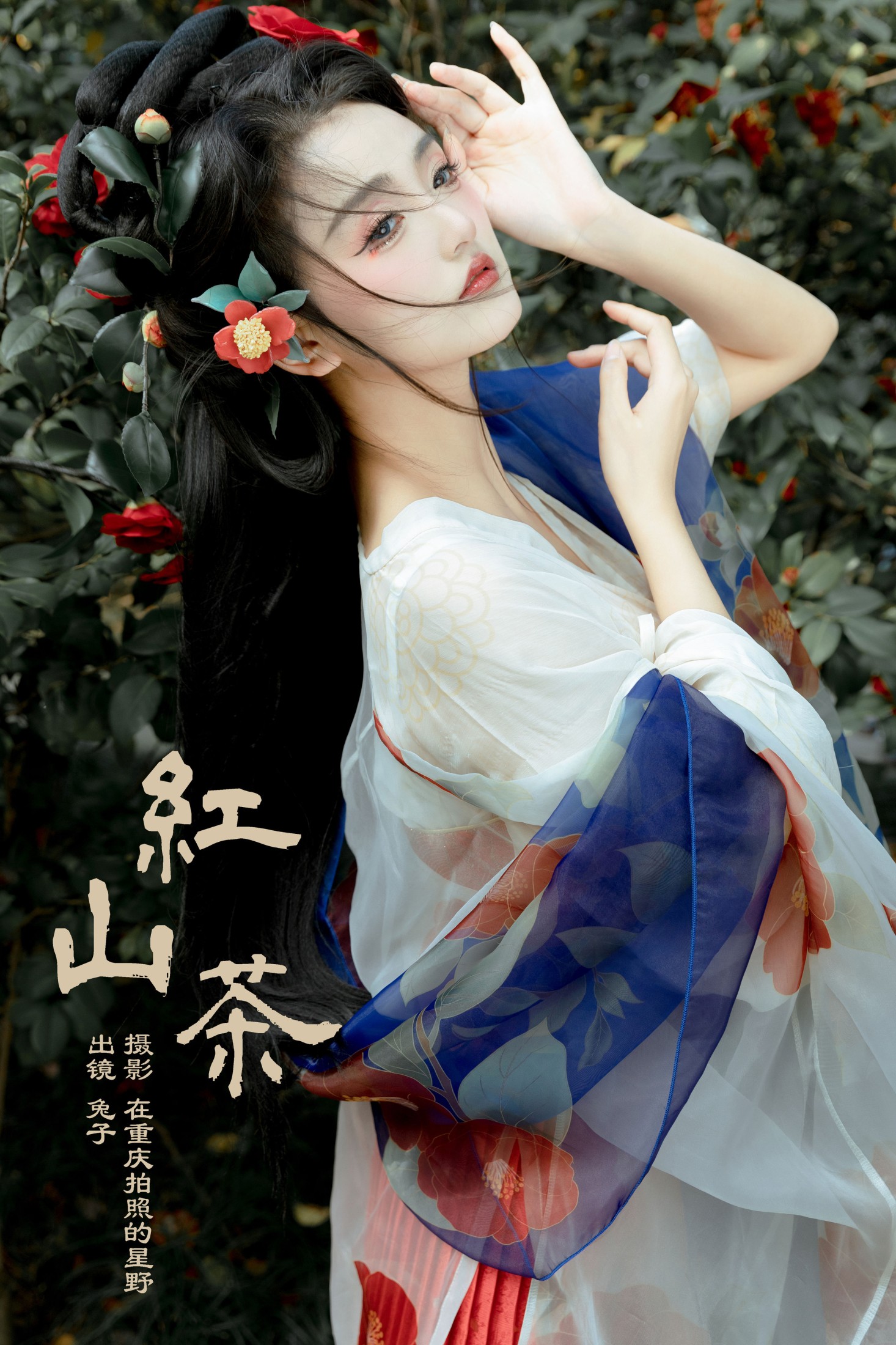 红山茶