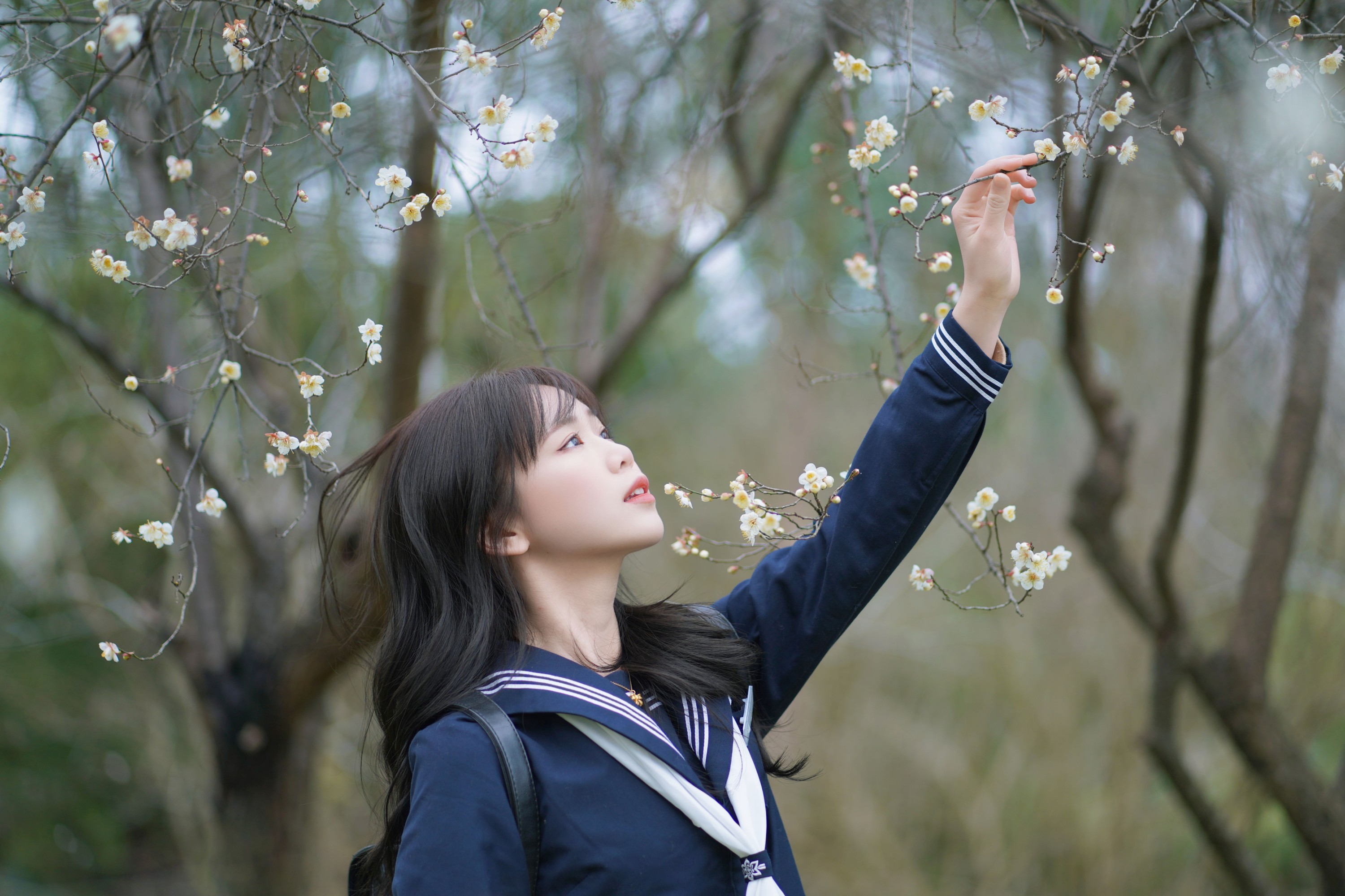 泡芙小方 – 《梅花树下》[26P]
