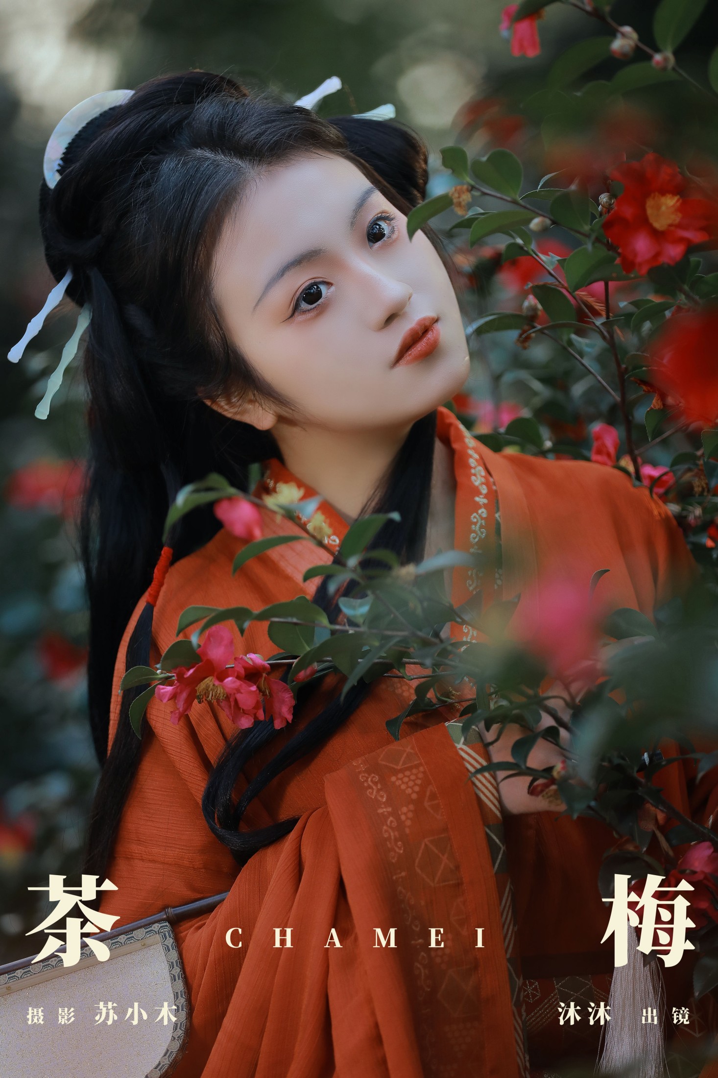 茶梅