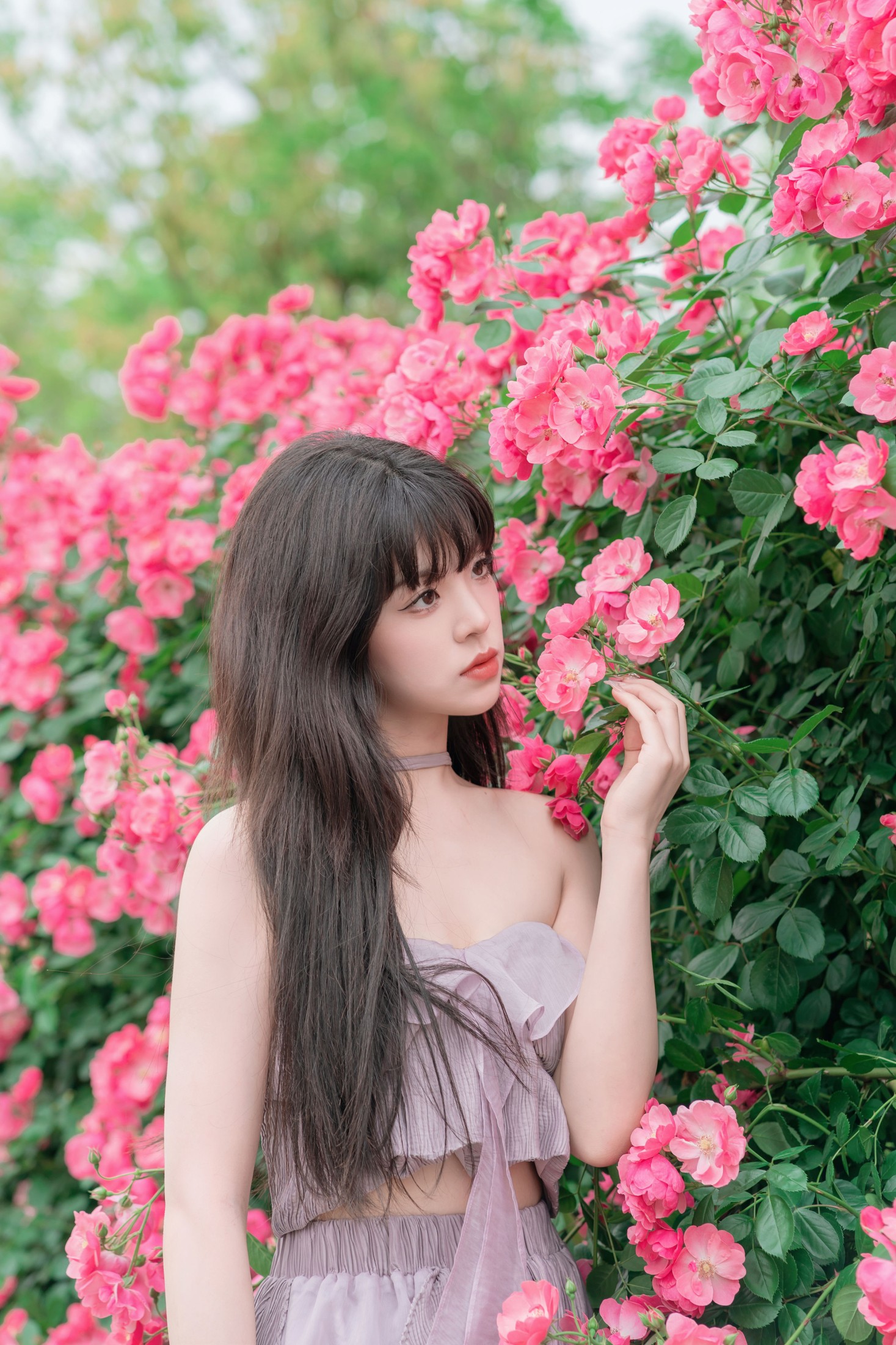 赛西西莉吗 – 《让花盛开》[37P]