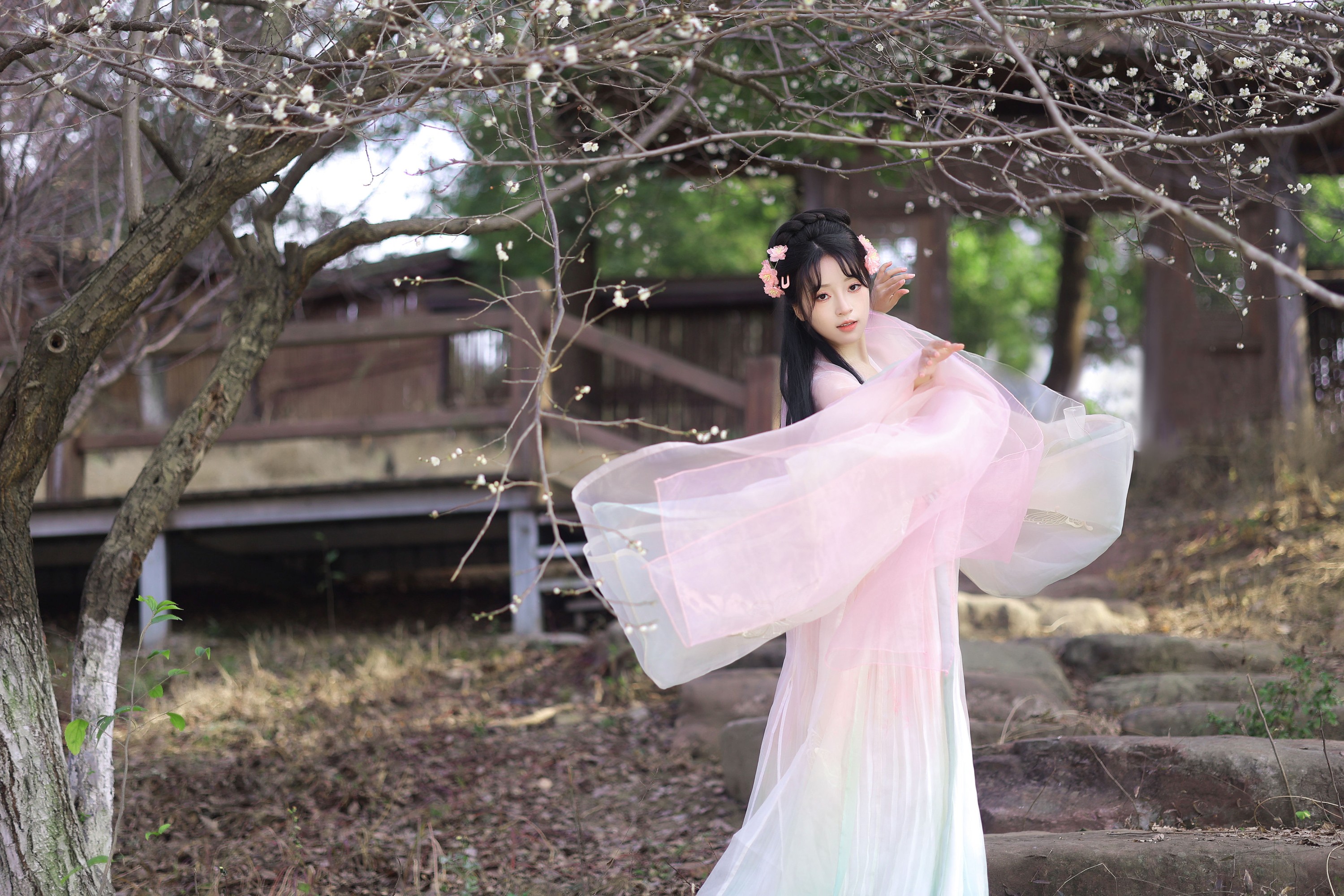 君尹兰 – 《春樱》[23P]