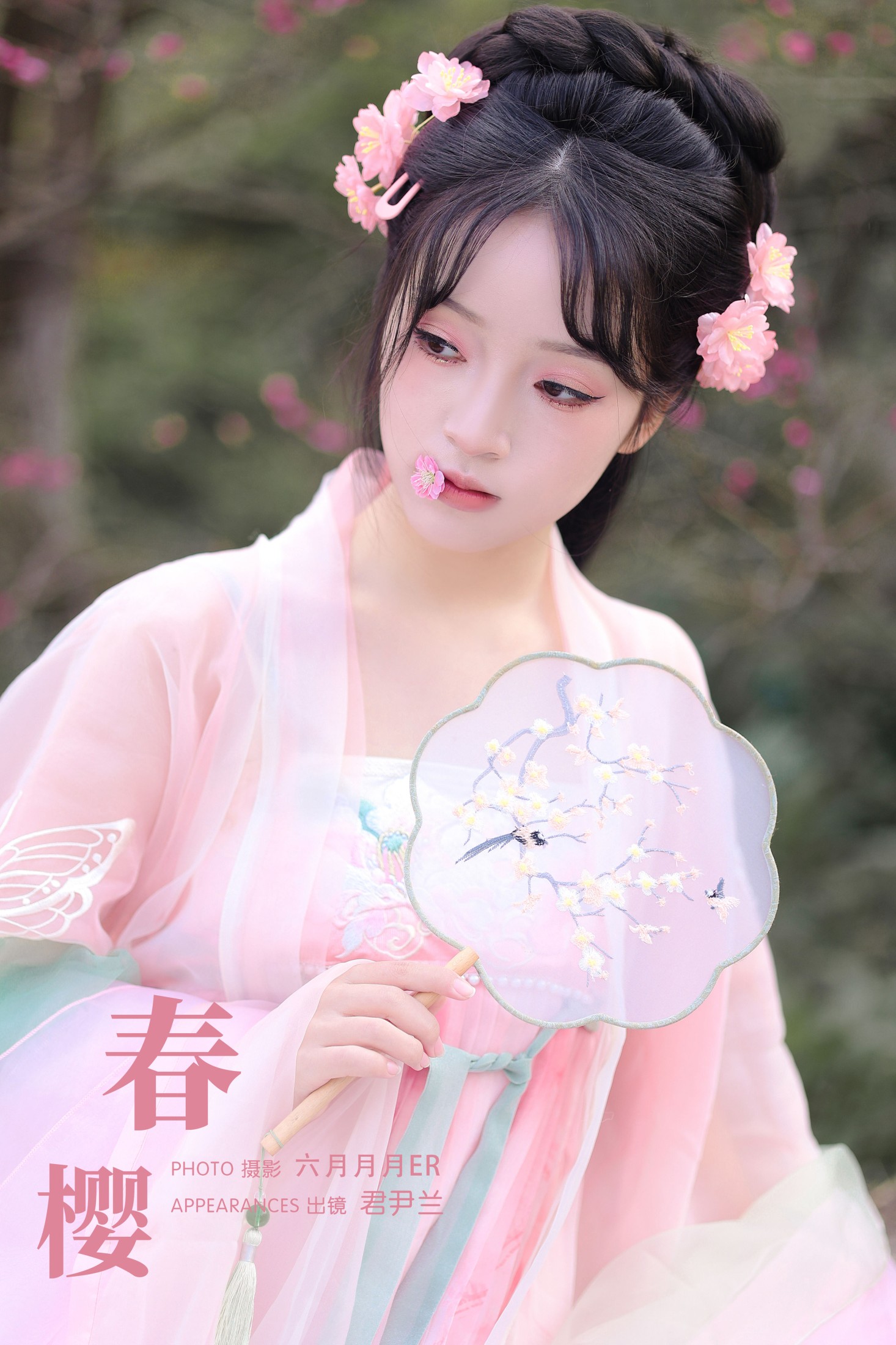 春樱