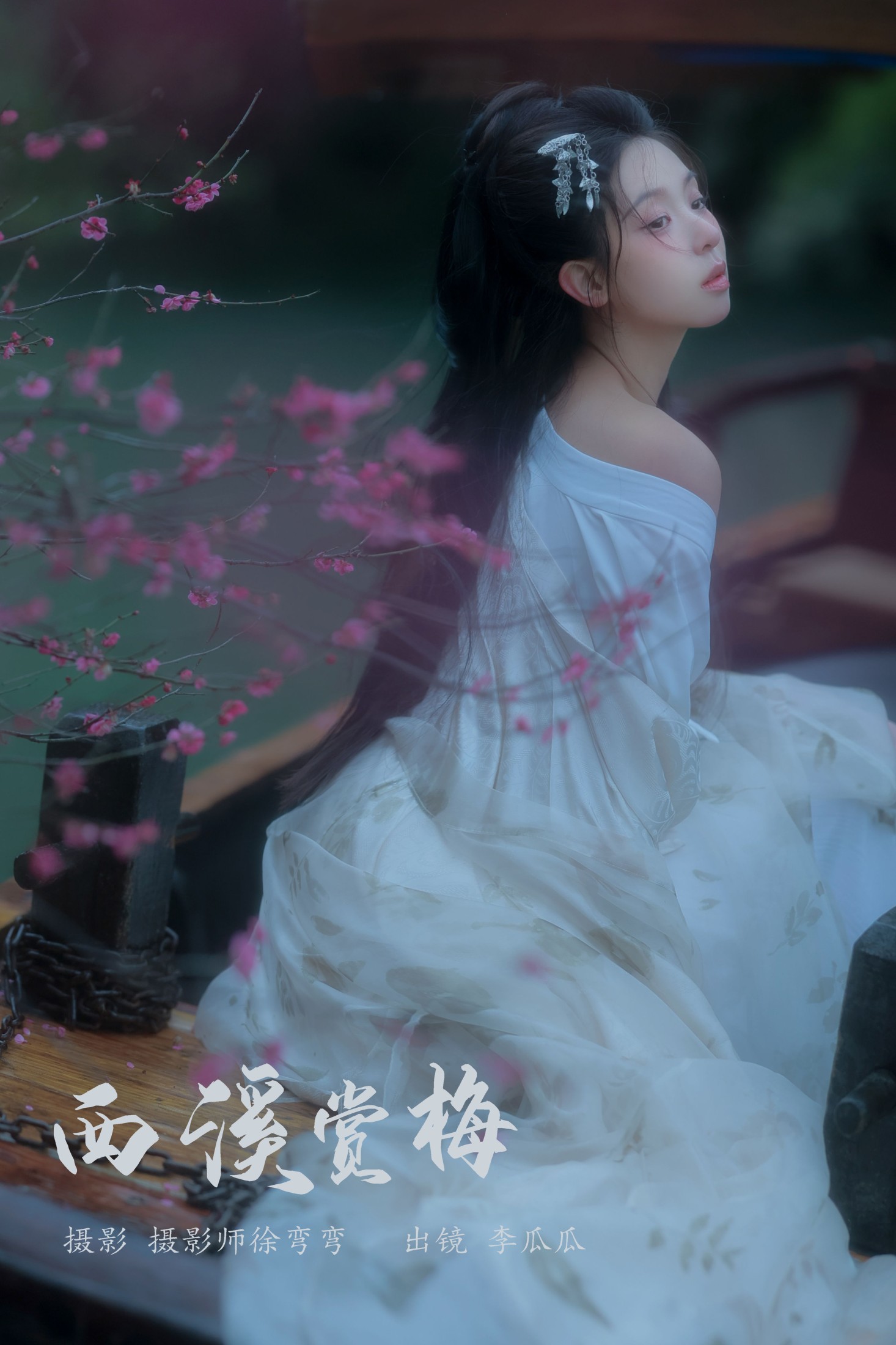 西溪赏梅