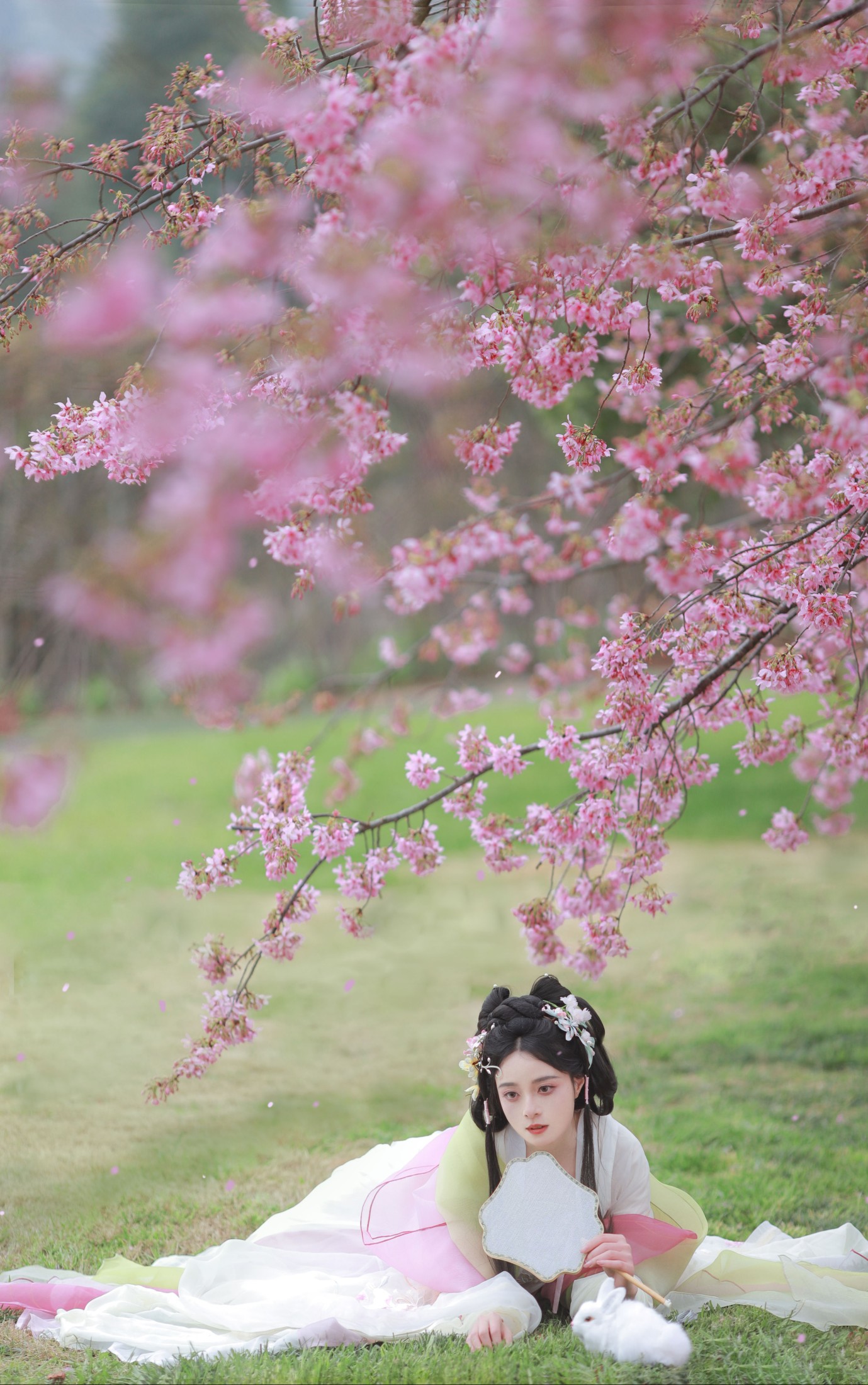 岁岁如意 – 《樱花雨》[22P]