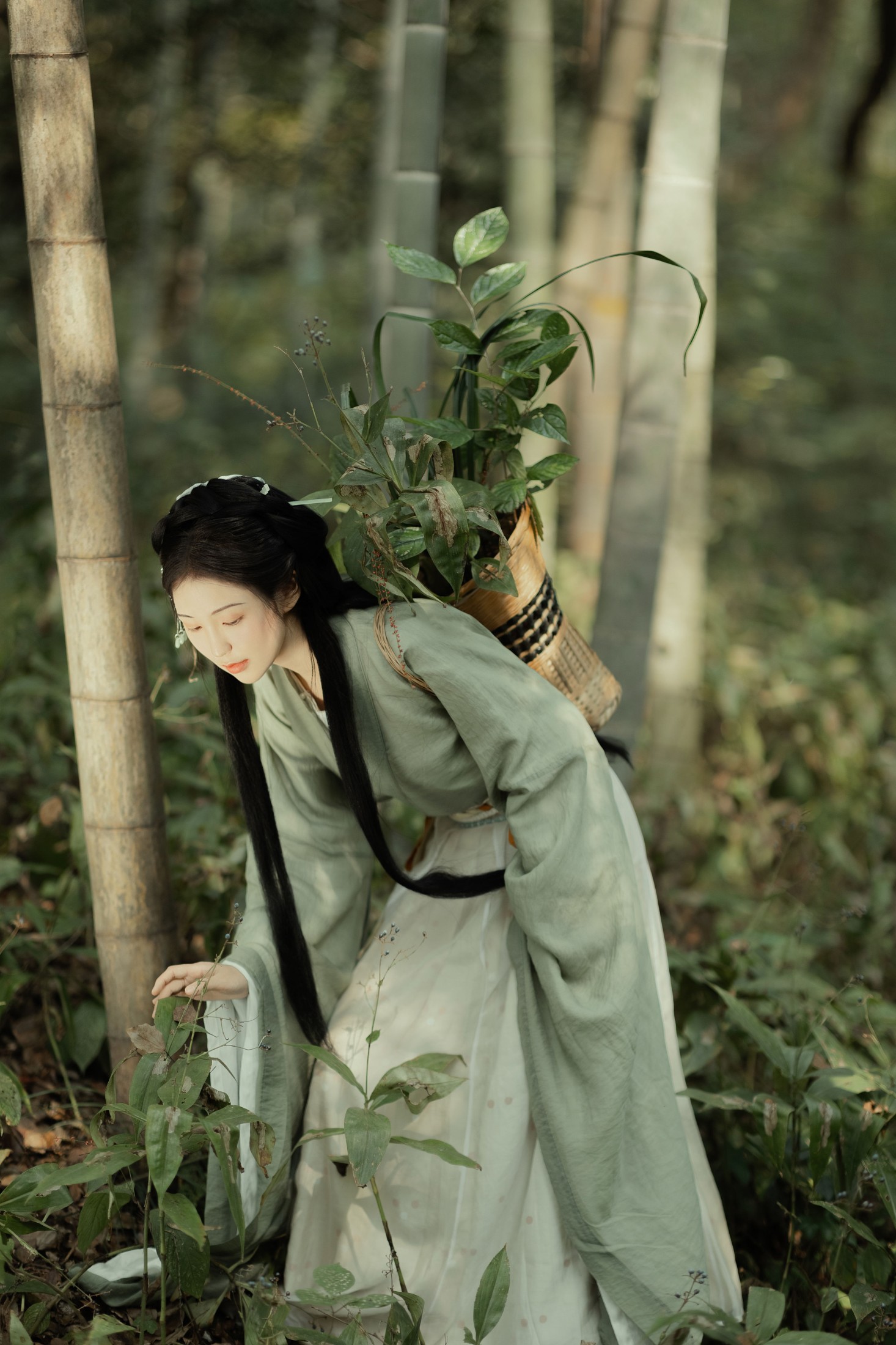 折子语-阿语 – 《采药》[30P]