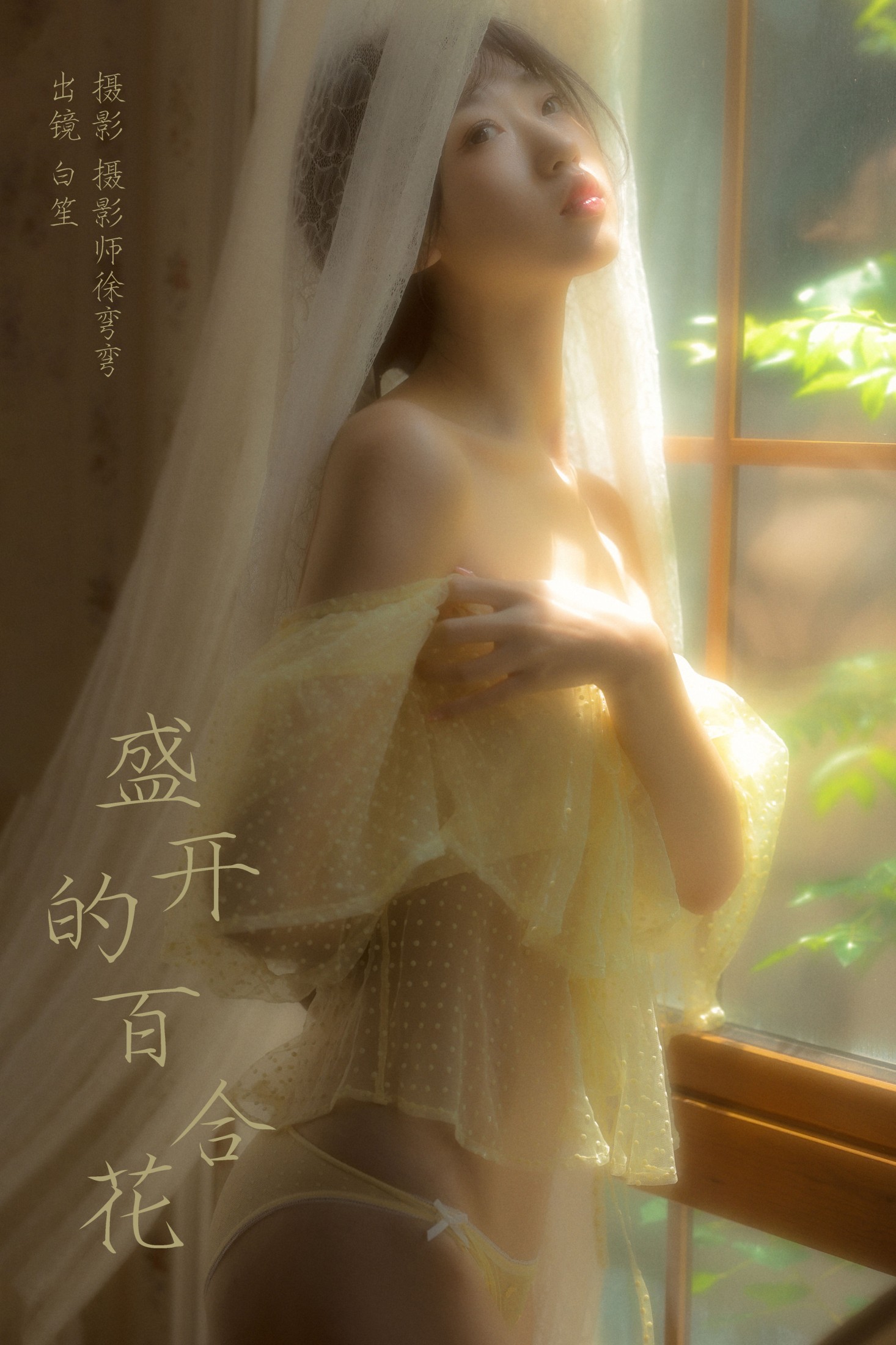 盛开的百合花