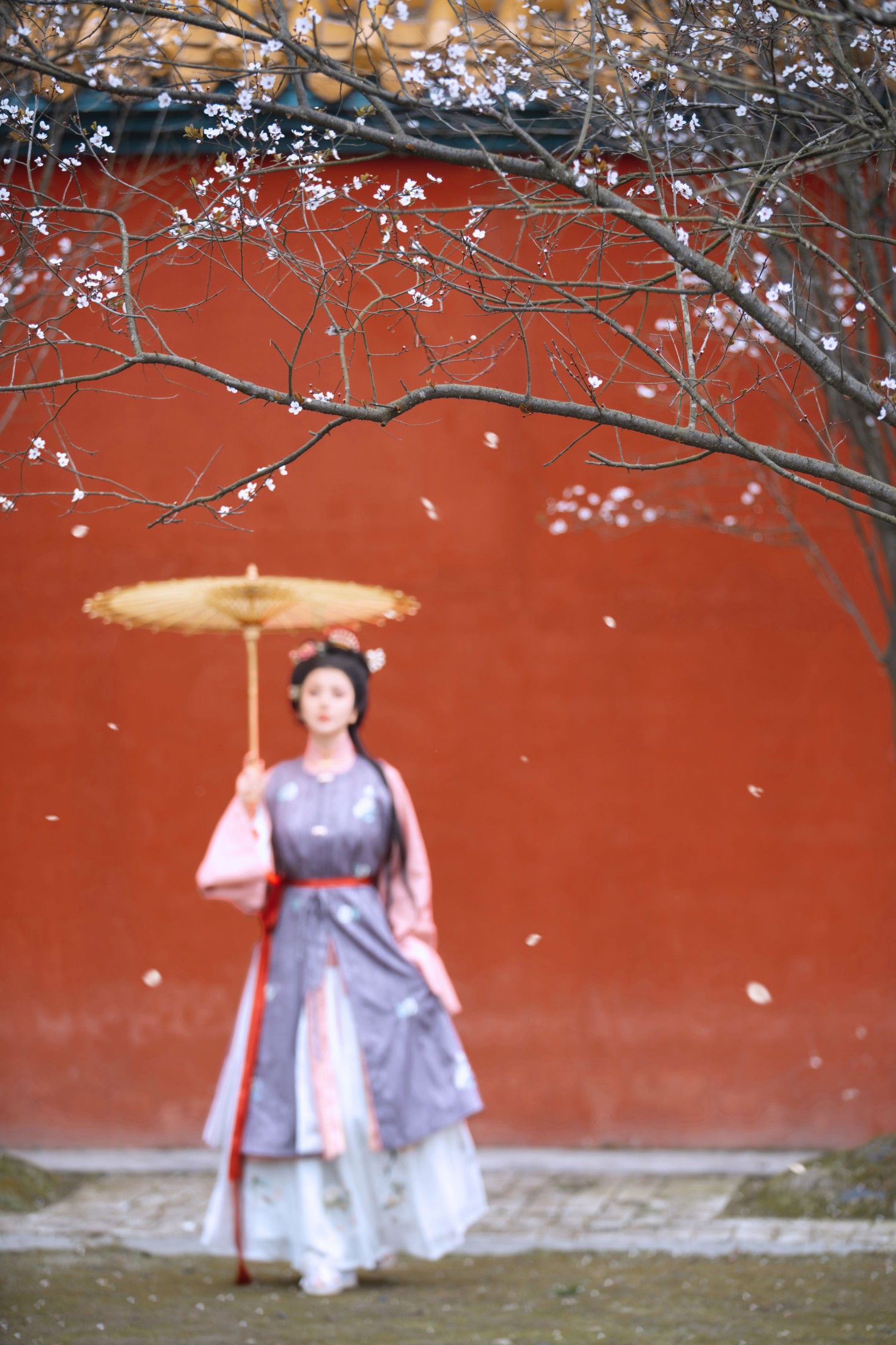 乔伊 – 《花间集》[27P]