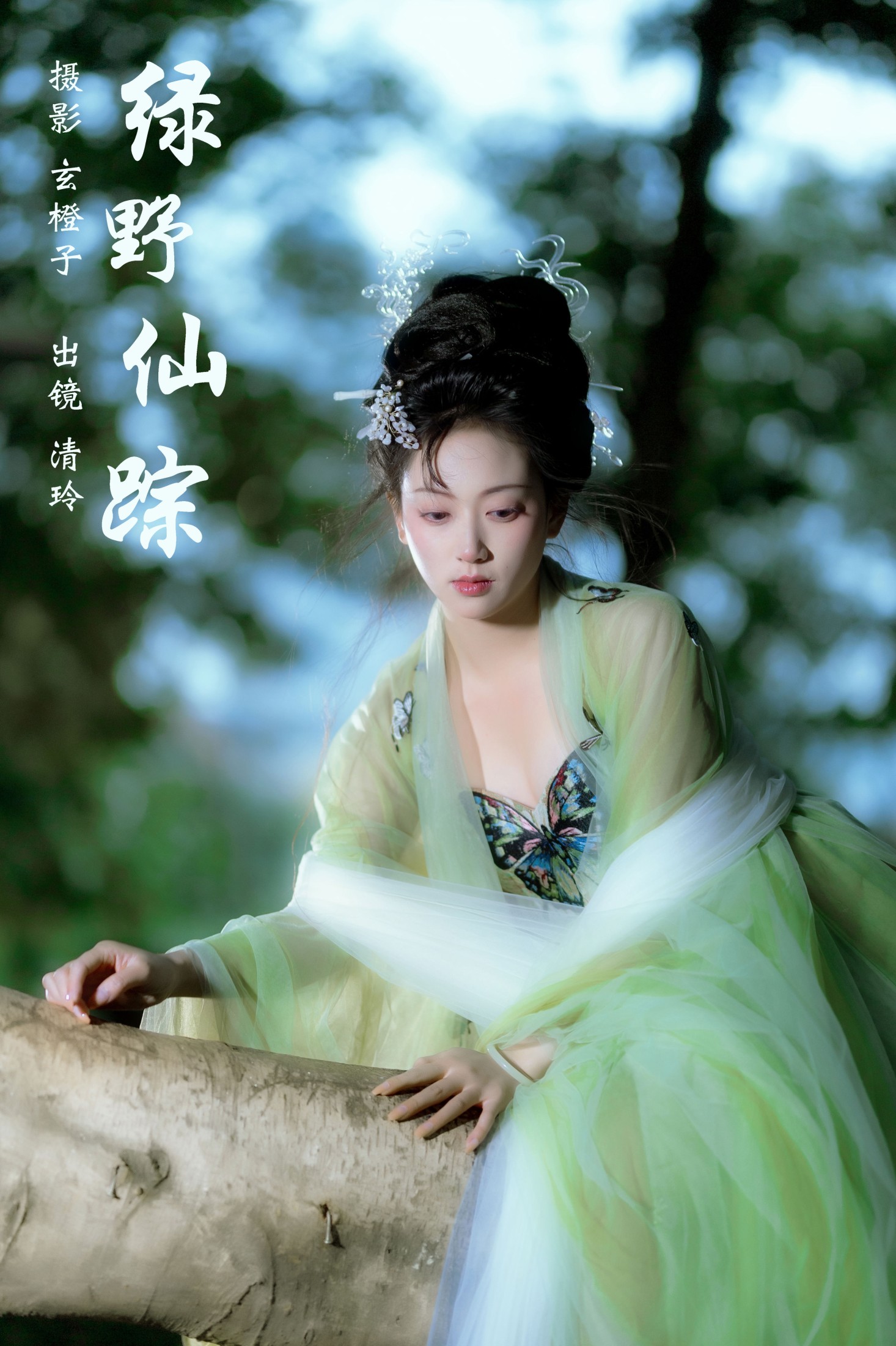 绿野仙踪