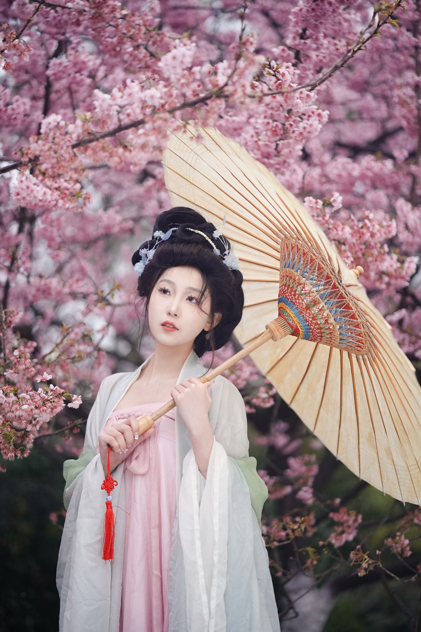 树芊忆 – 《春樱》[23P]