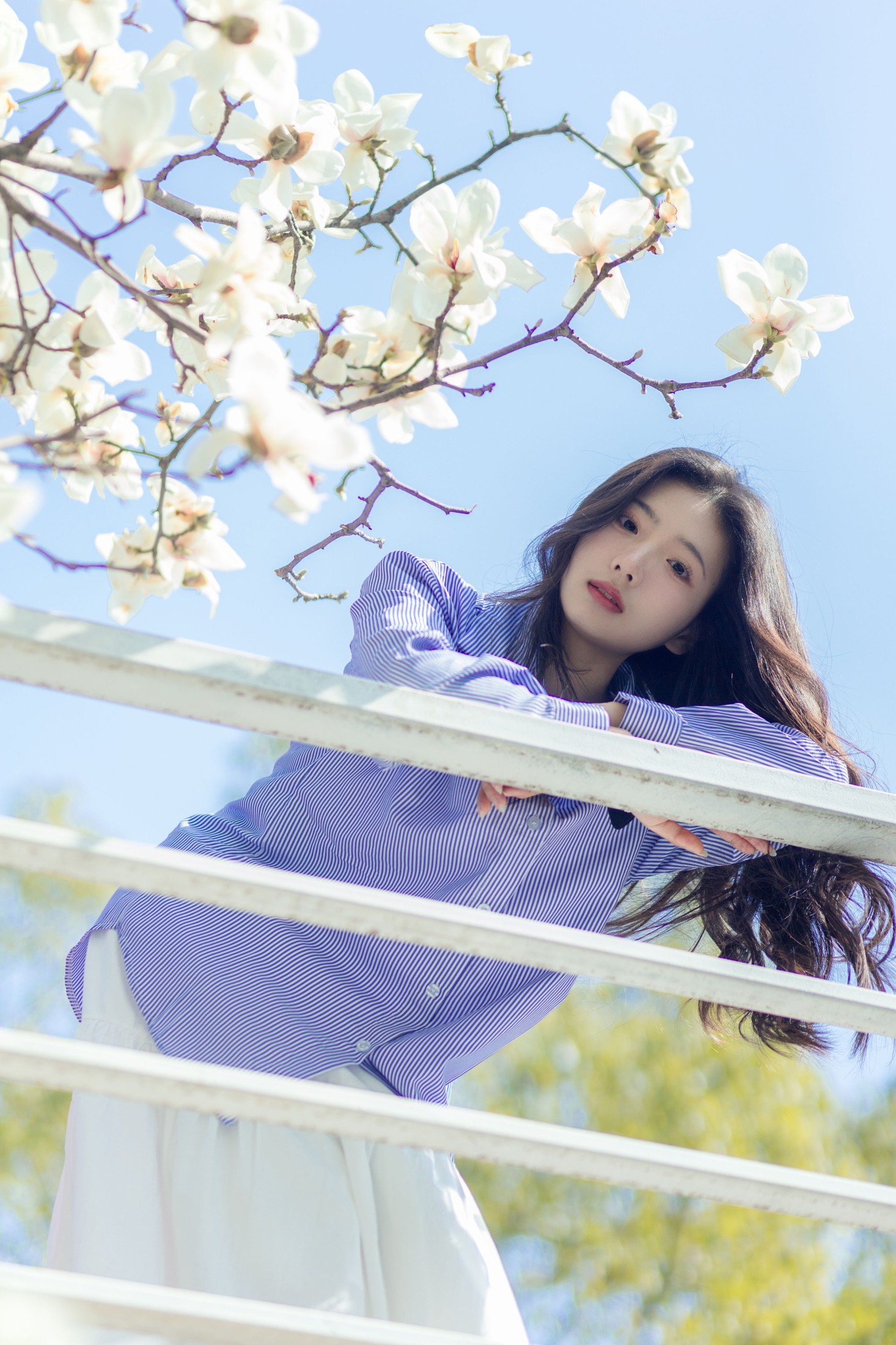 木柚柚 – 《春和景明》[25P]