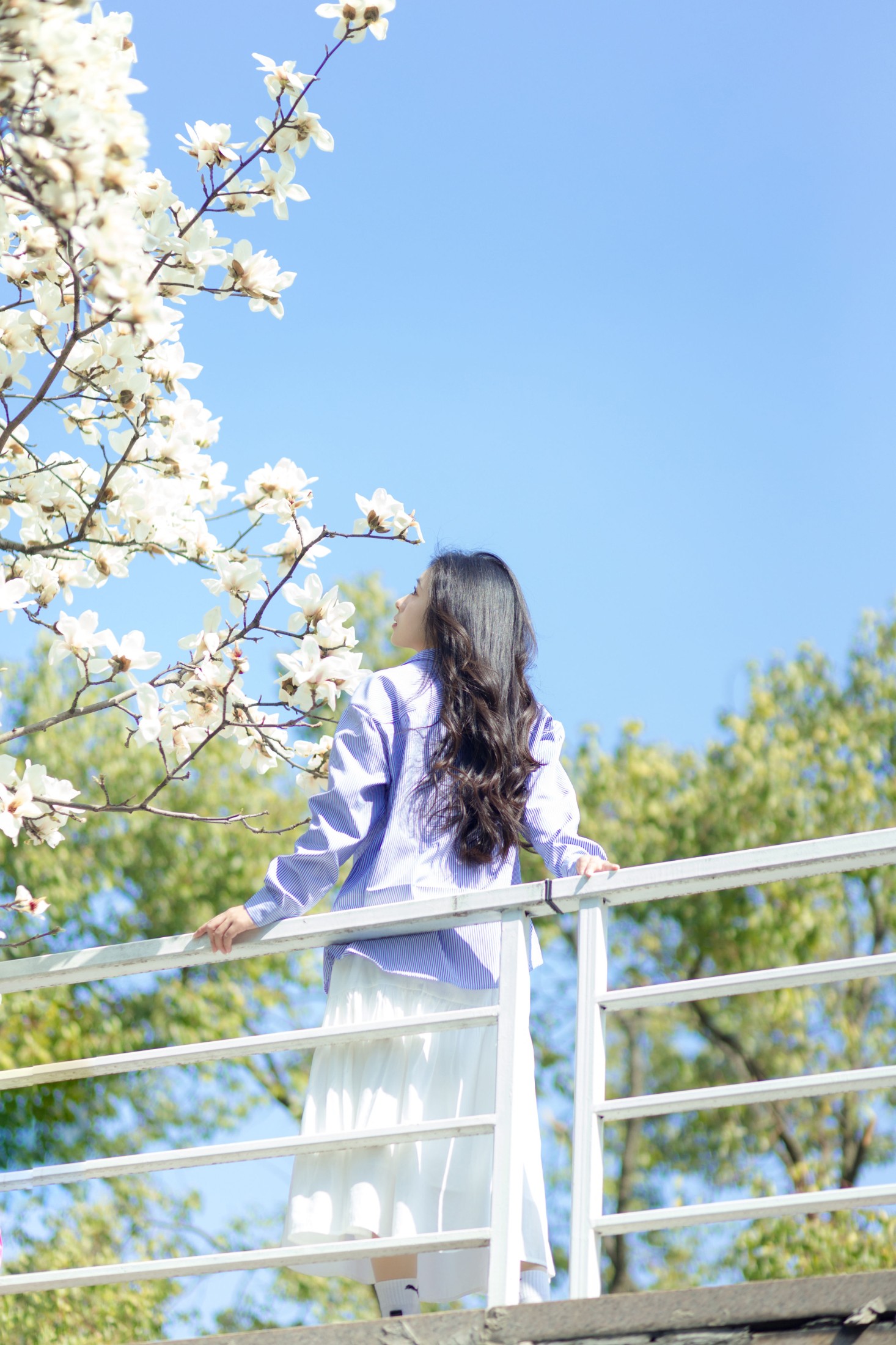木柚柚 – 《春和景明》[25P]
