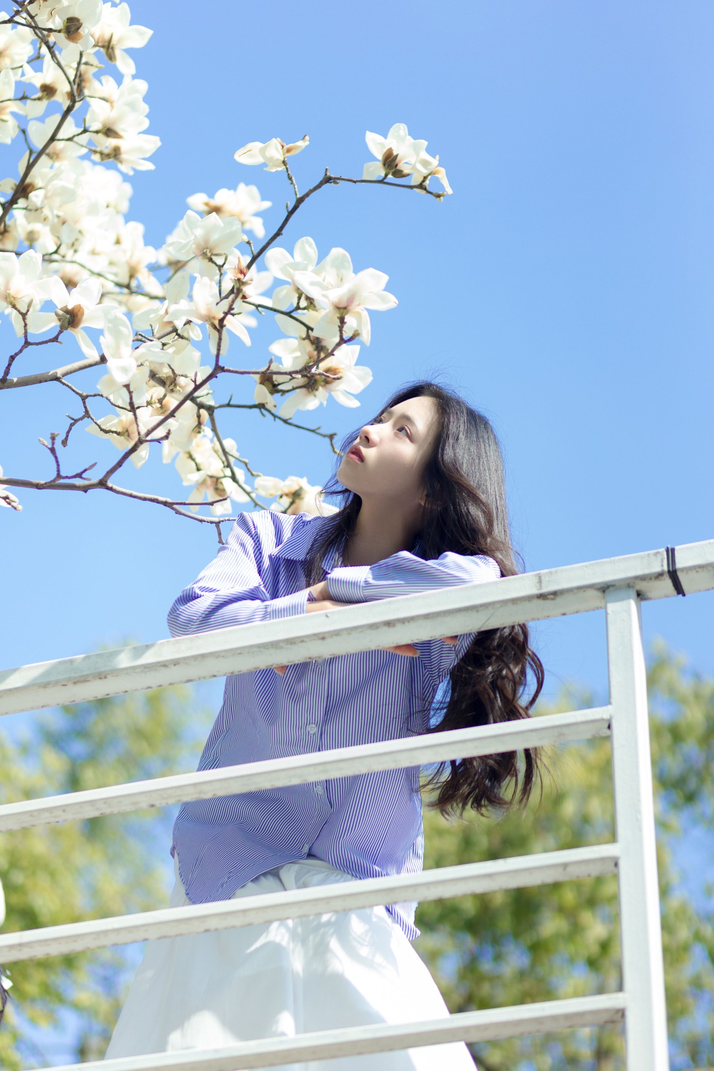 木柚柚 – 《春和景明》[25P]