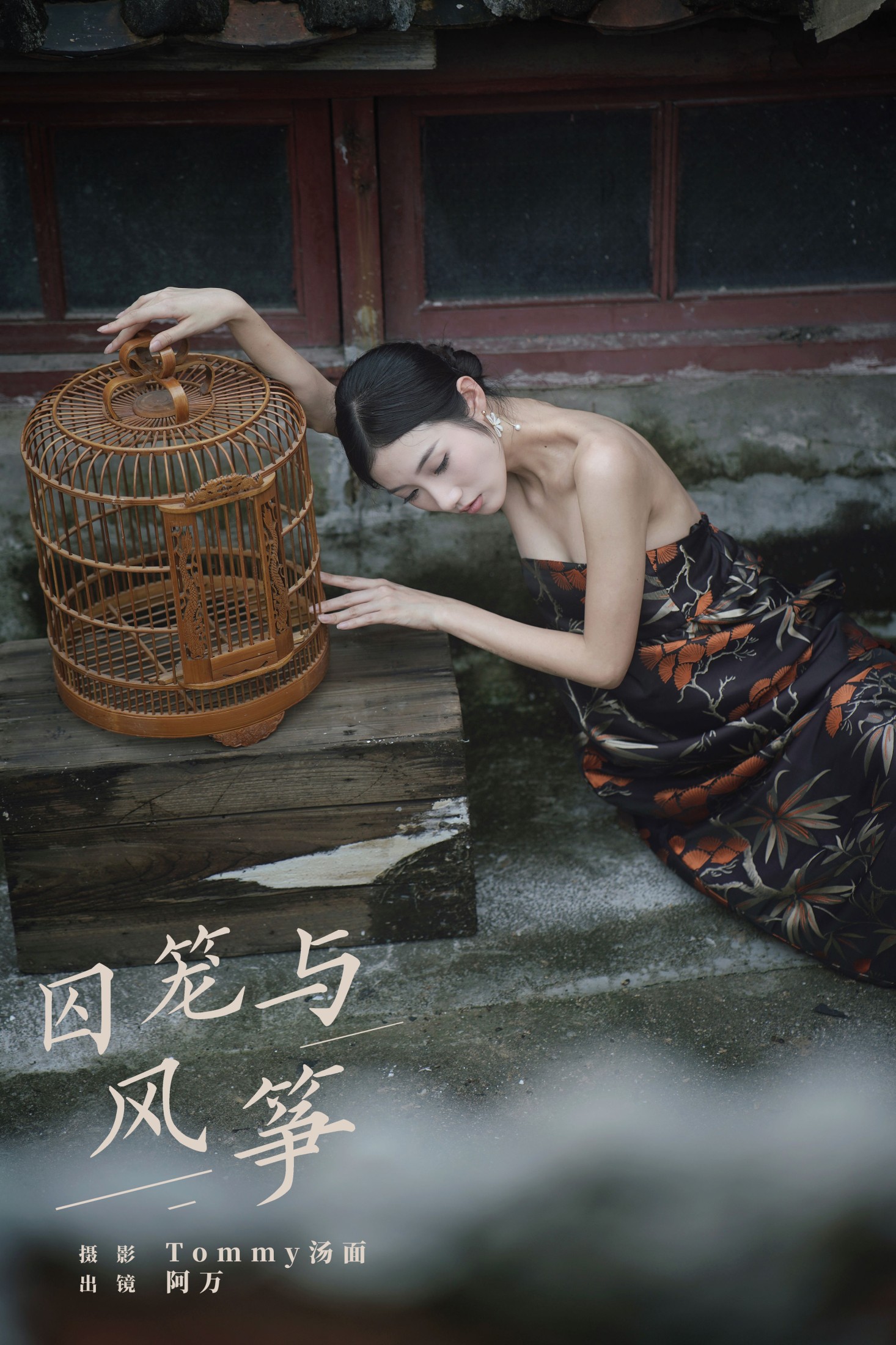 囚笼与风筝
