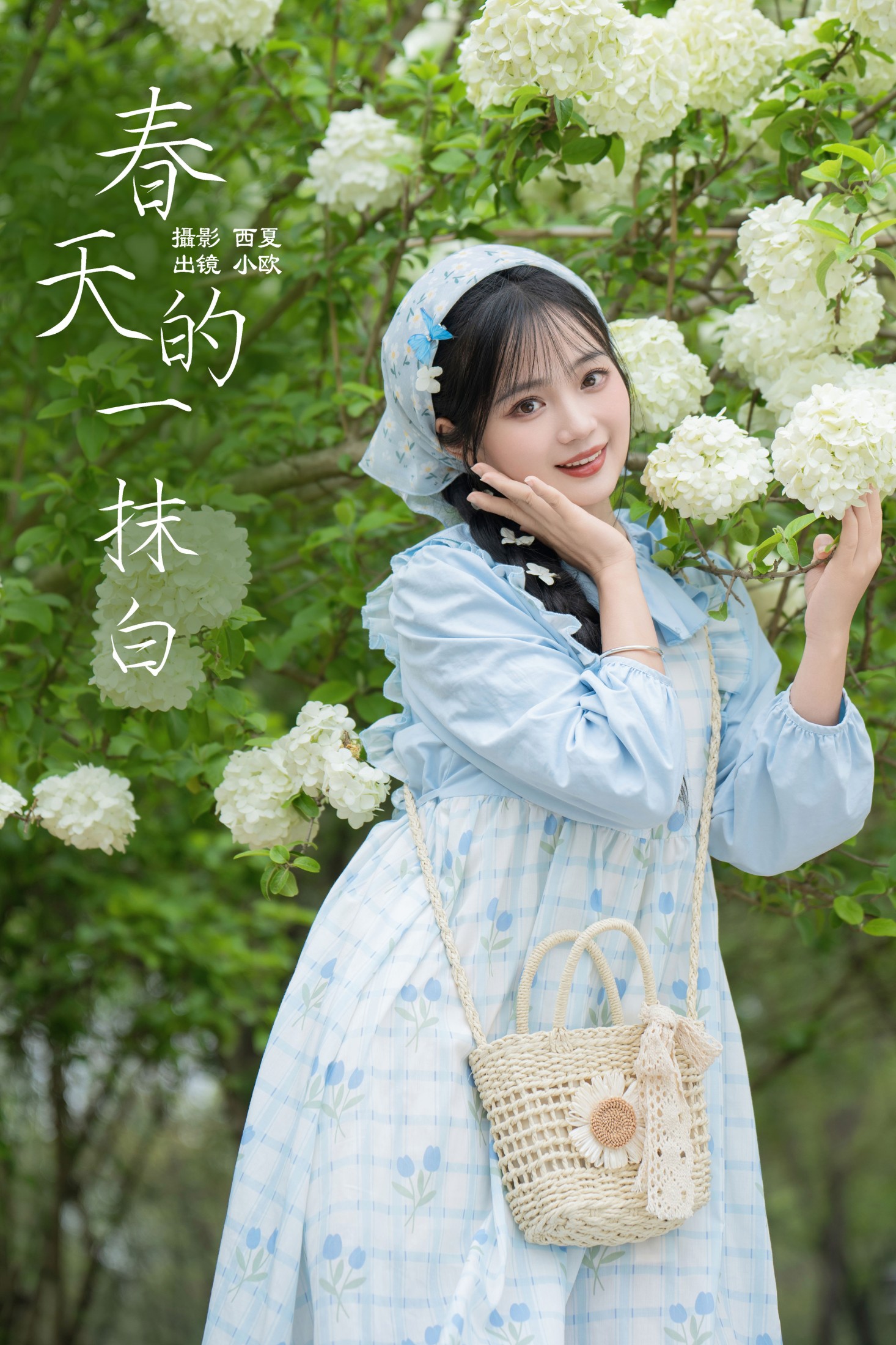 春天的一抹白
