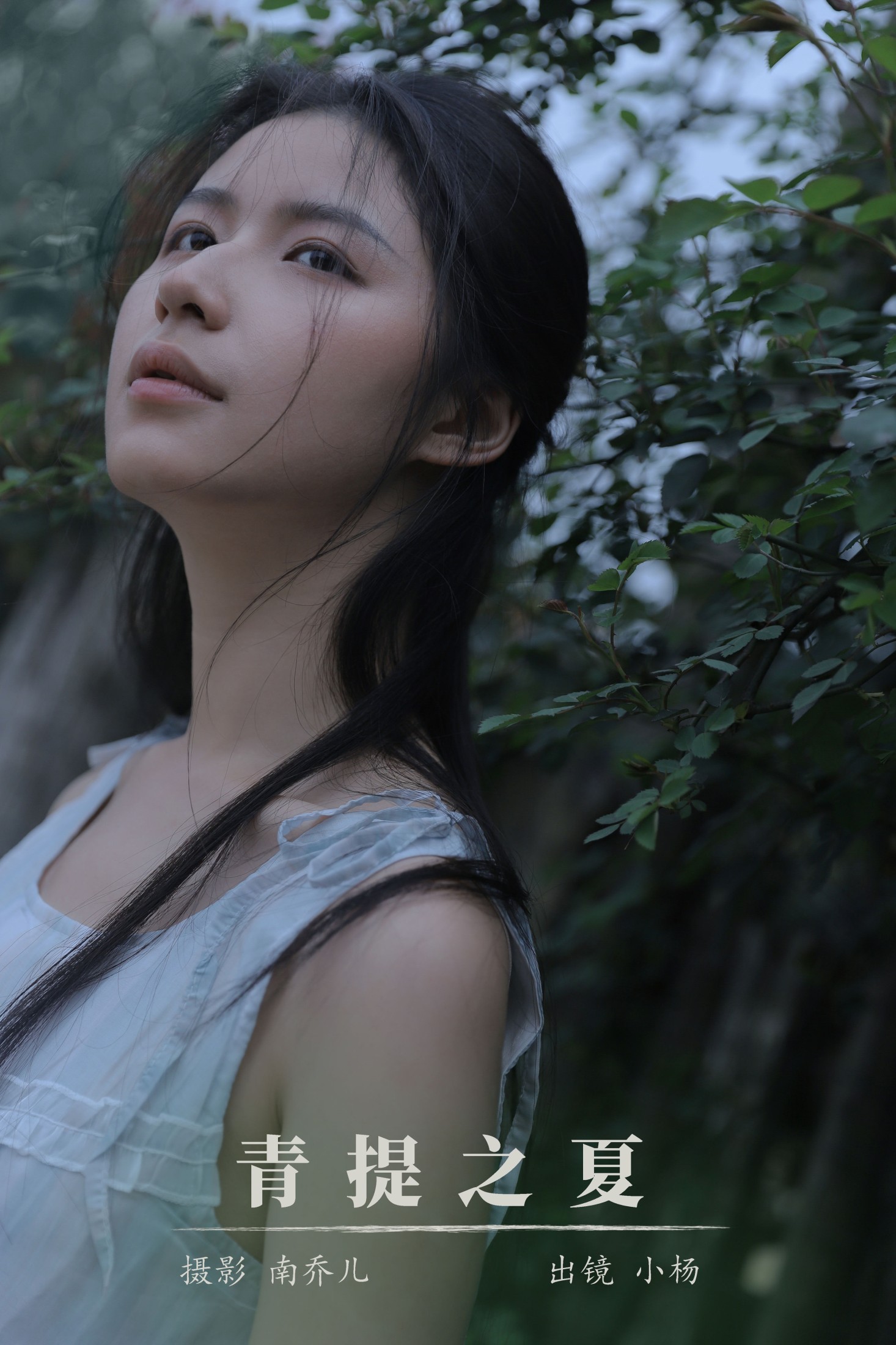 青提之夏