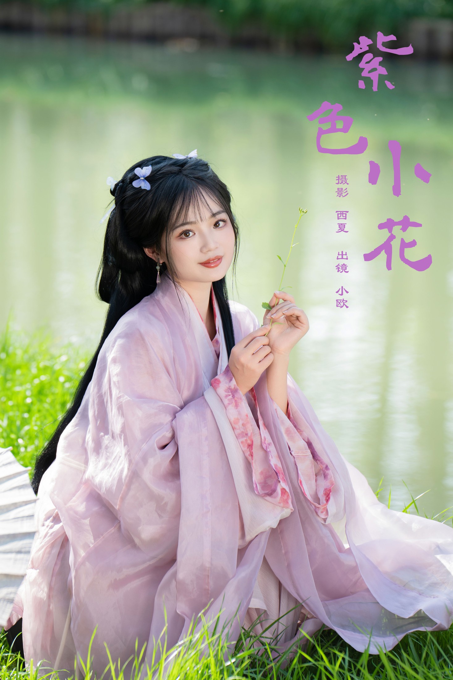 紫色小花