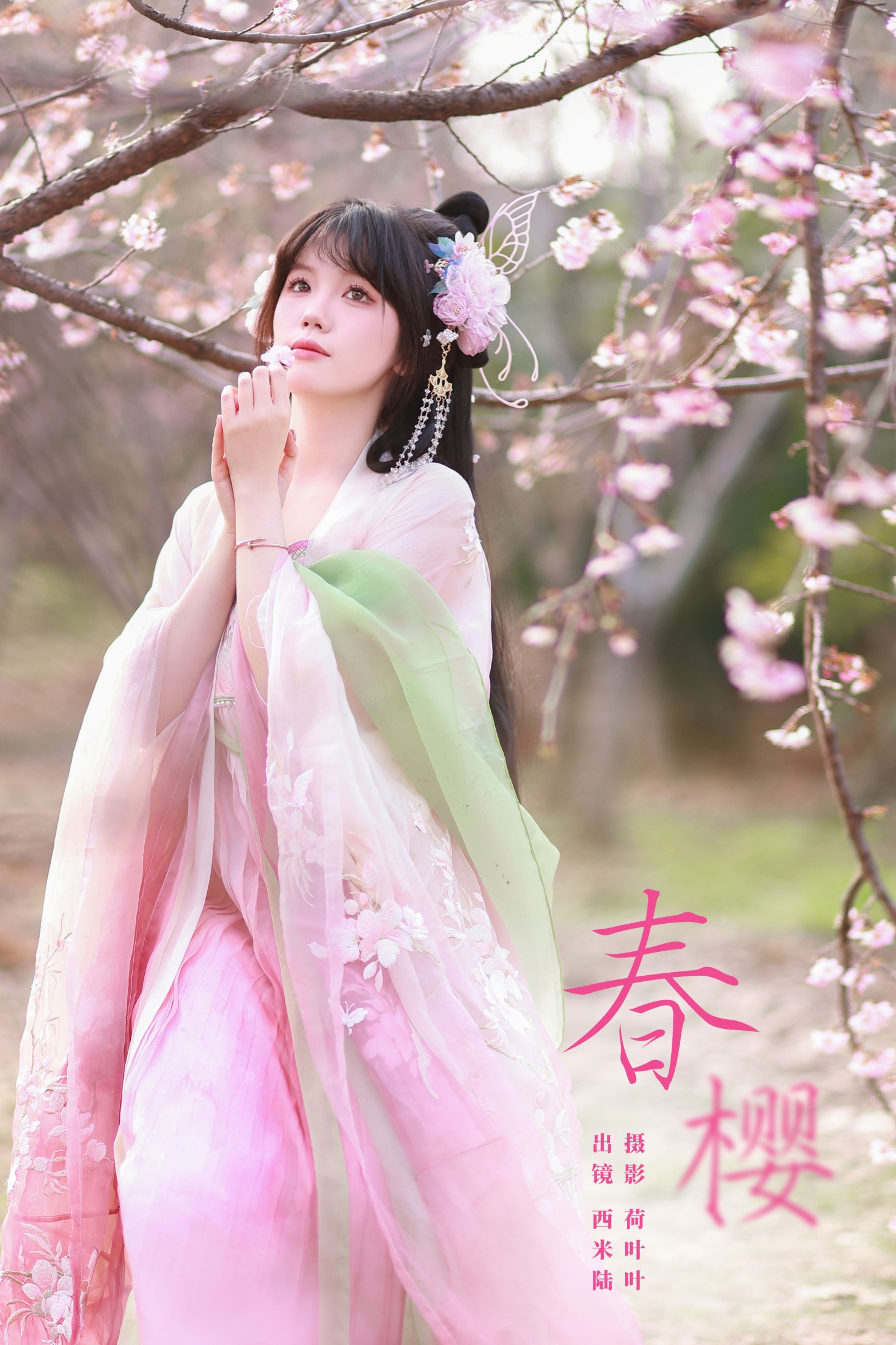 春樱