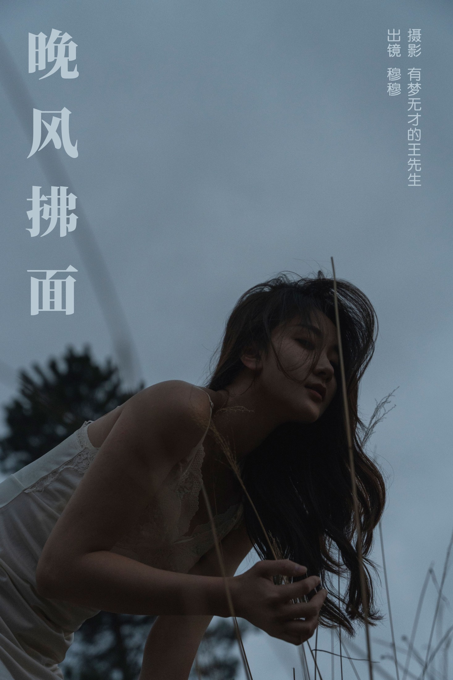 晚风拂面