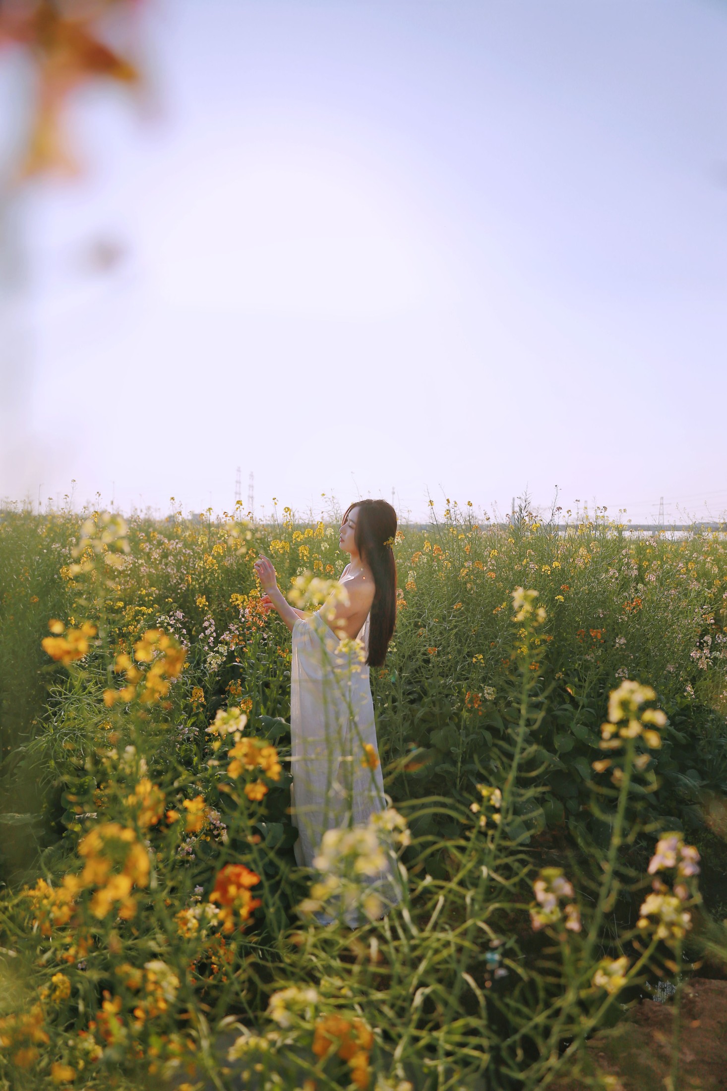 小熊 – 《七彩花田之美》[28P]