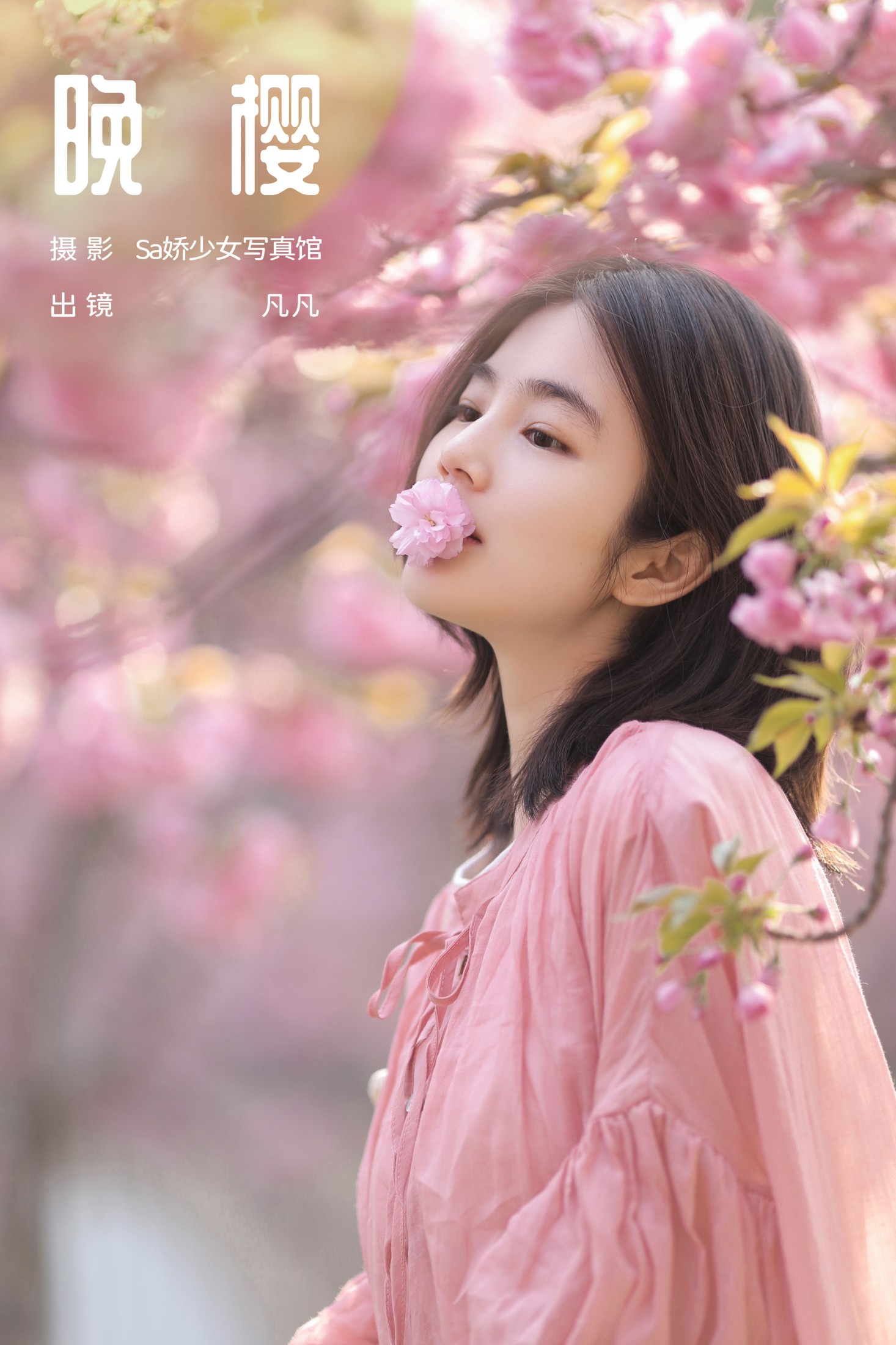 晚樱