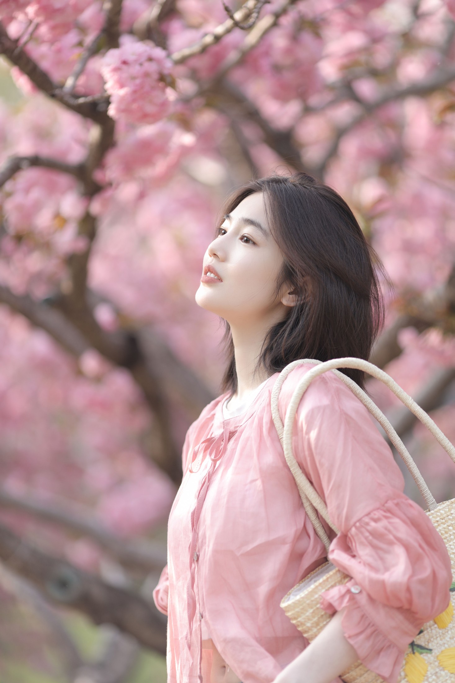 凡凡 – 《晚樱》[26P]