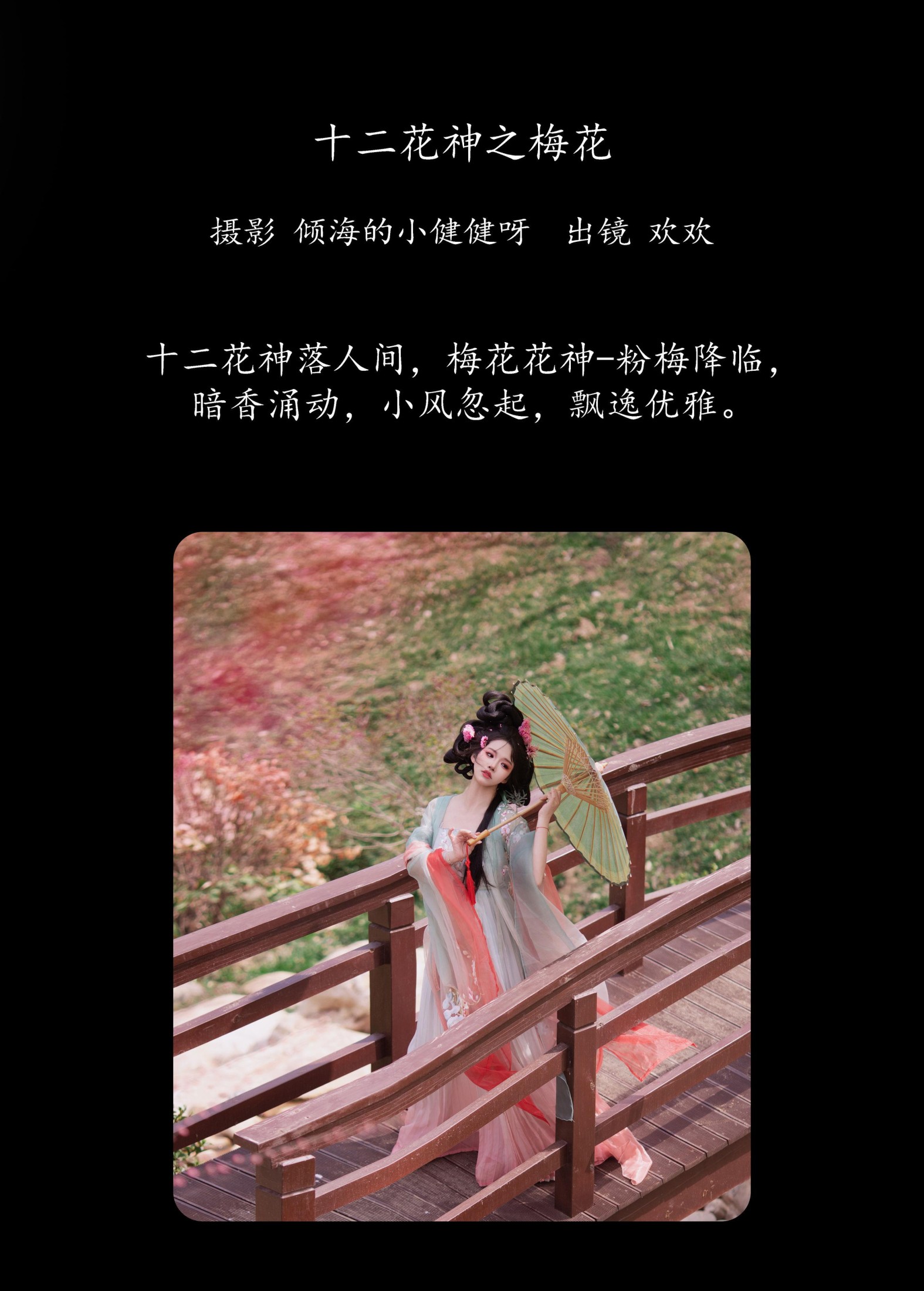 欢欢 – 《十二花神之梅花》[22P]