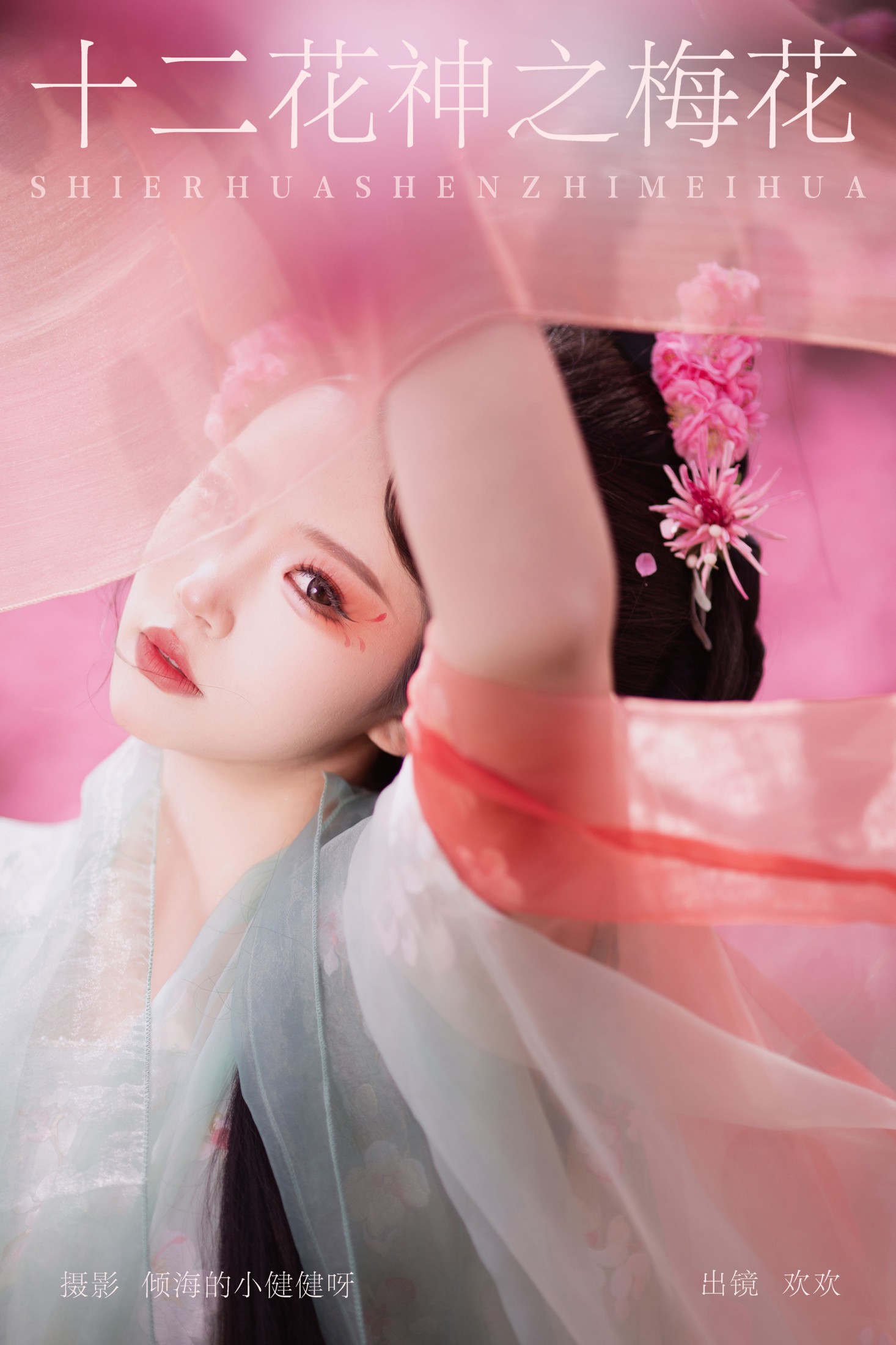 十二花神之梅花