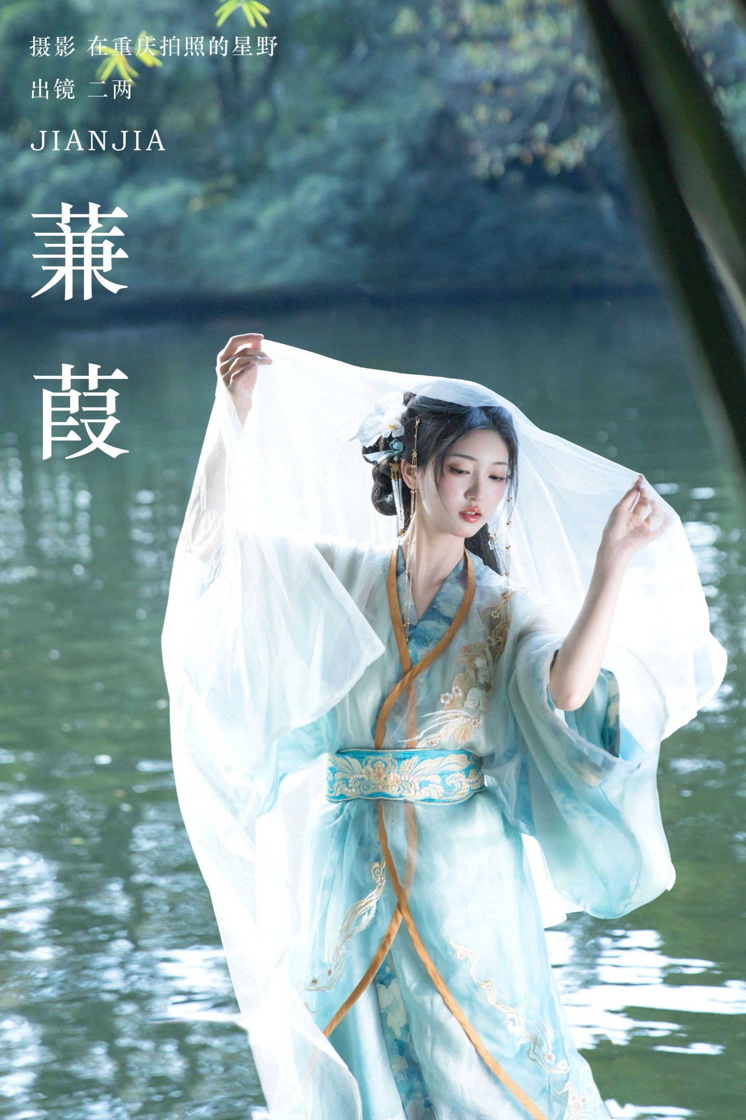 蒹葭