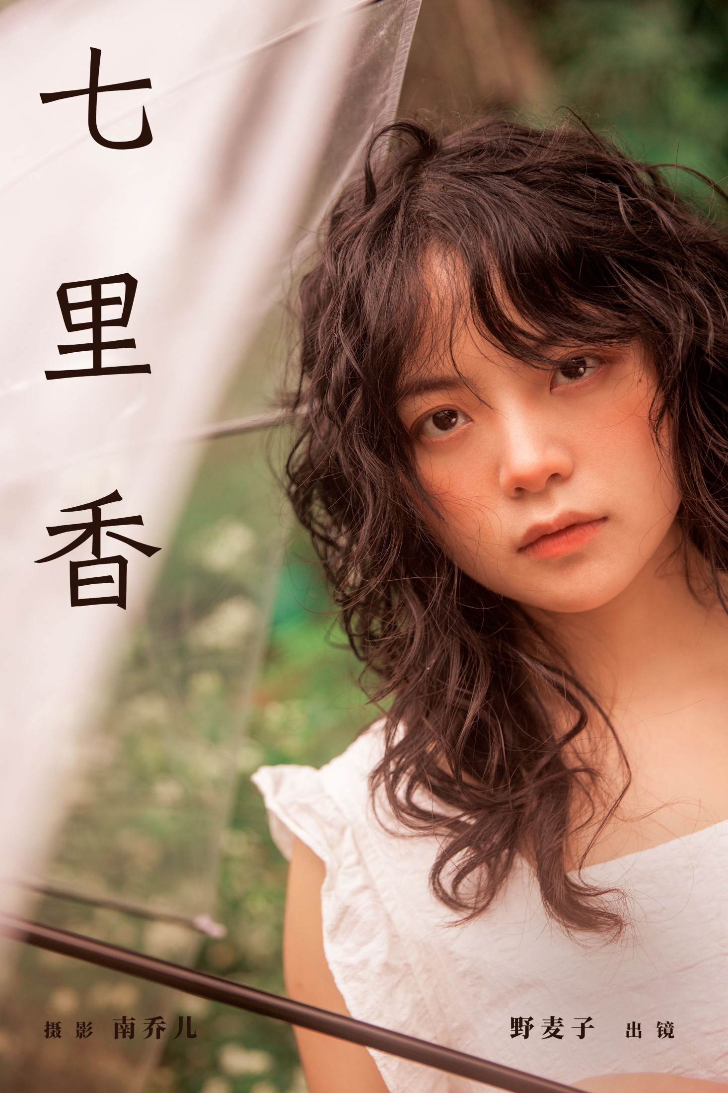 七里香
