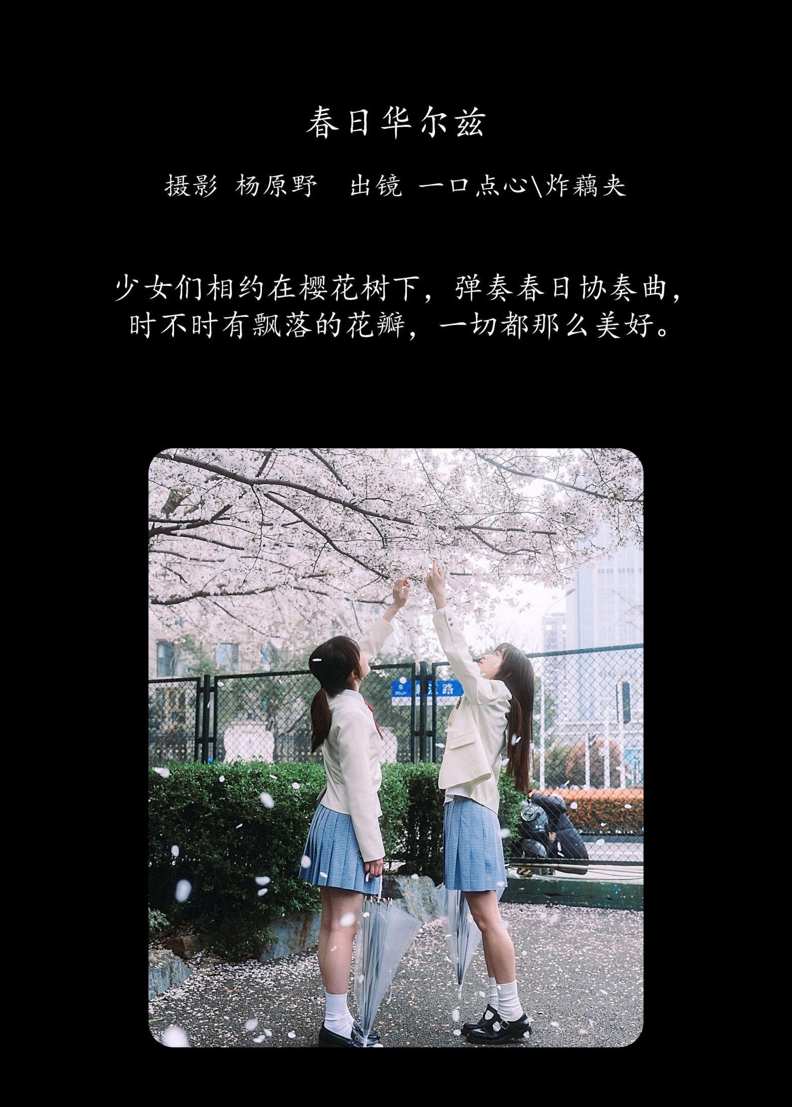 一口点心 炸藕夹 – 《春日华尔兹》[20P]