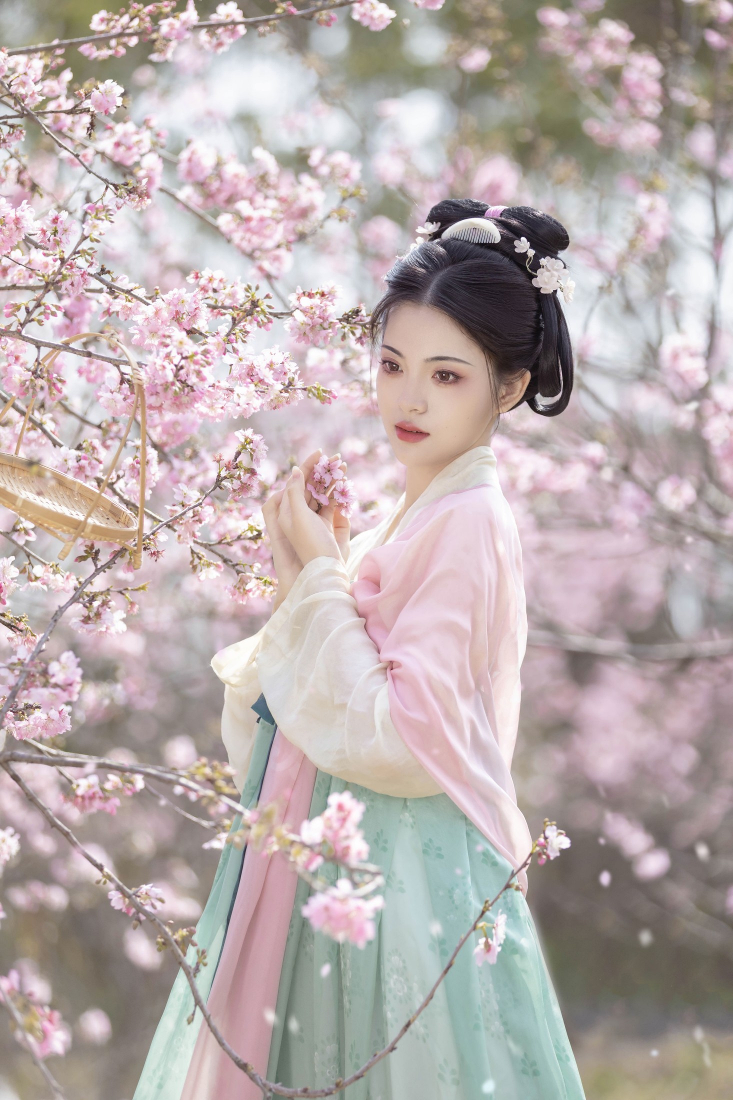 二月雪雪 – 《春樱》[22P]