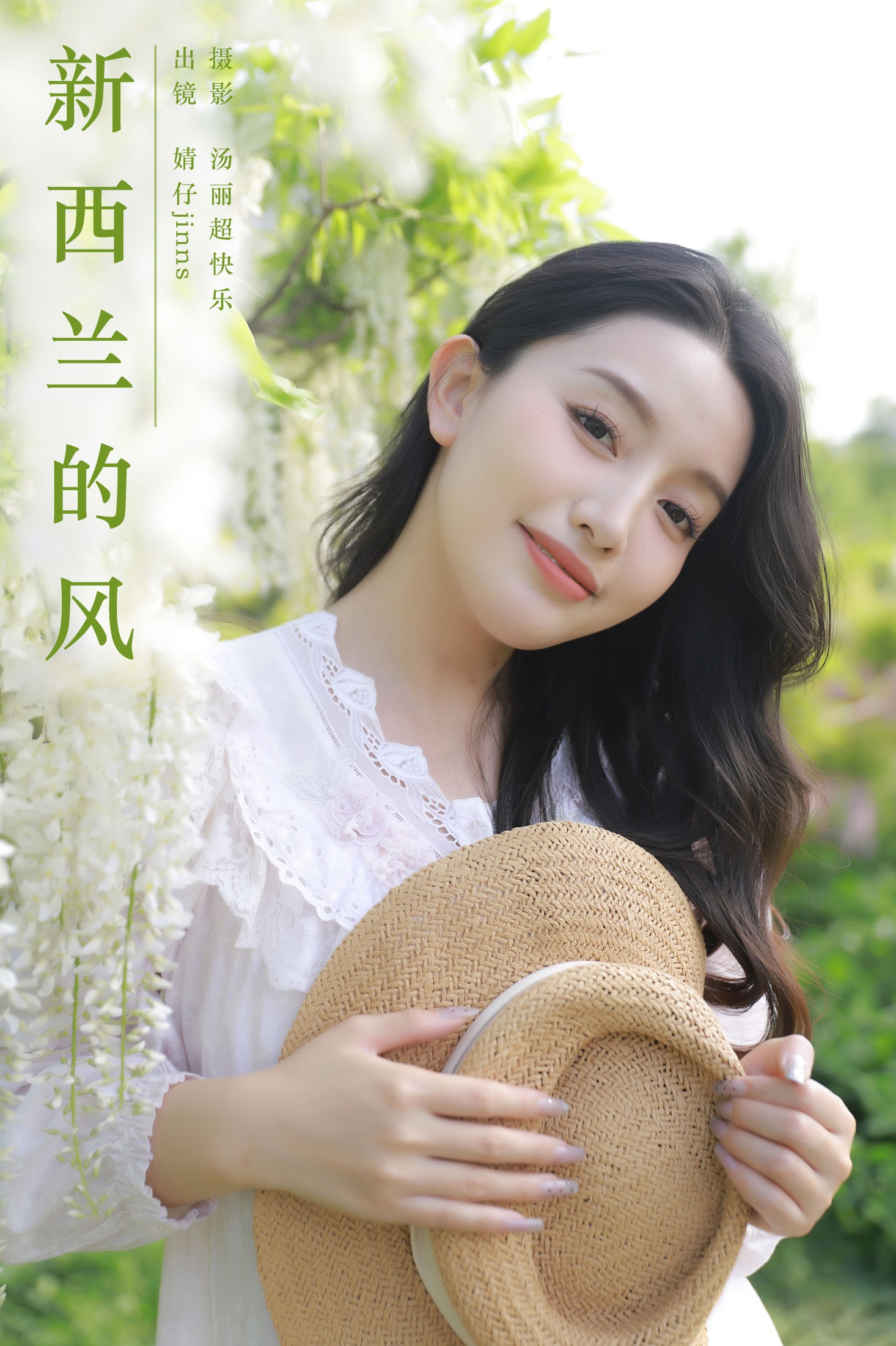 新西兰的风