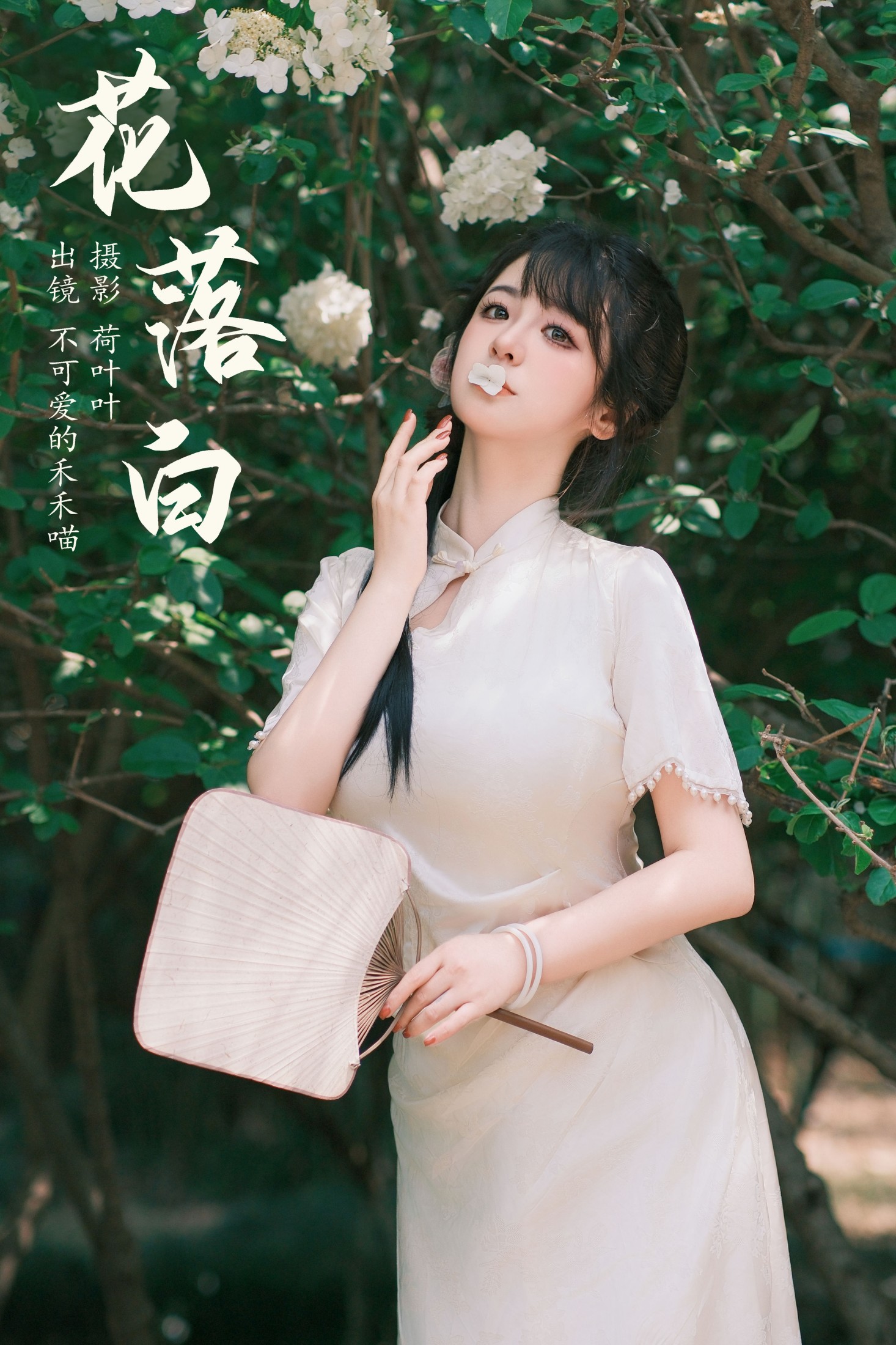 花落白