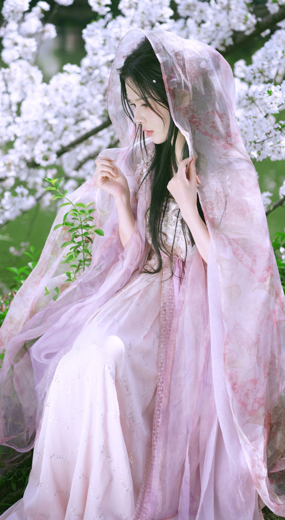曦曦 – 《樱花季》[22P]