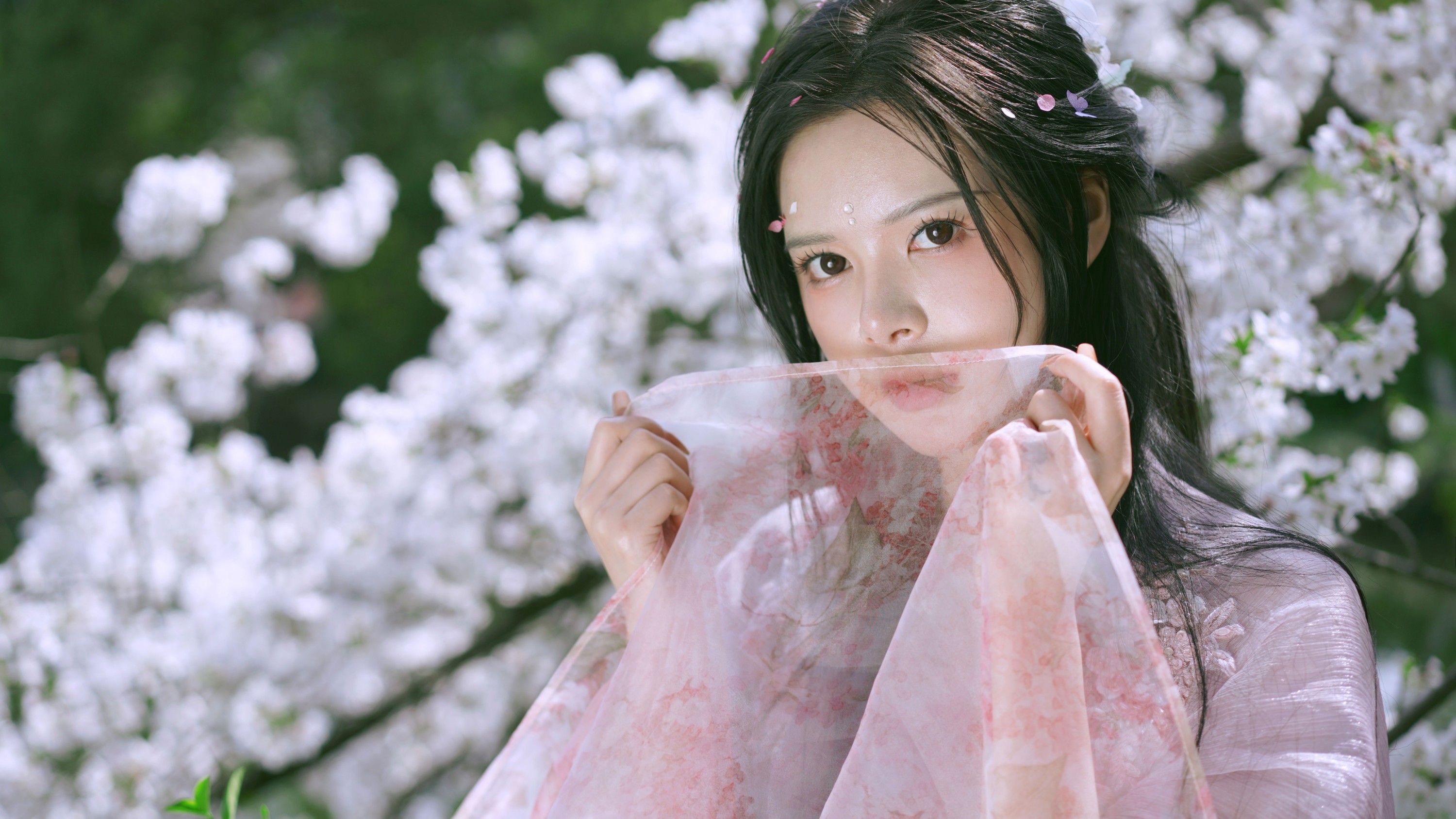 曦曦 – 《樱花季》[22P]