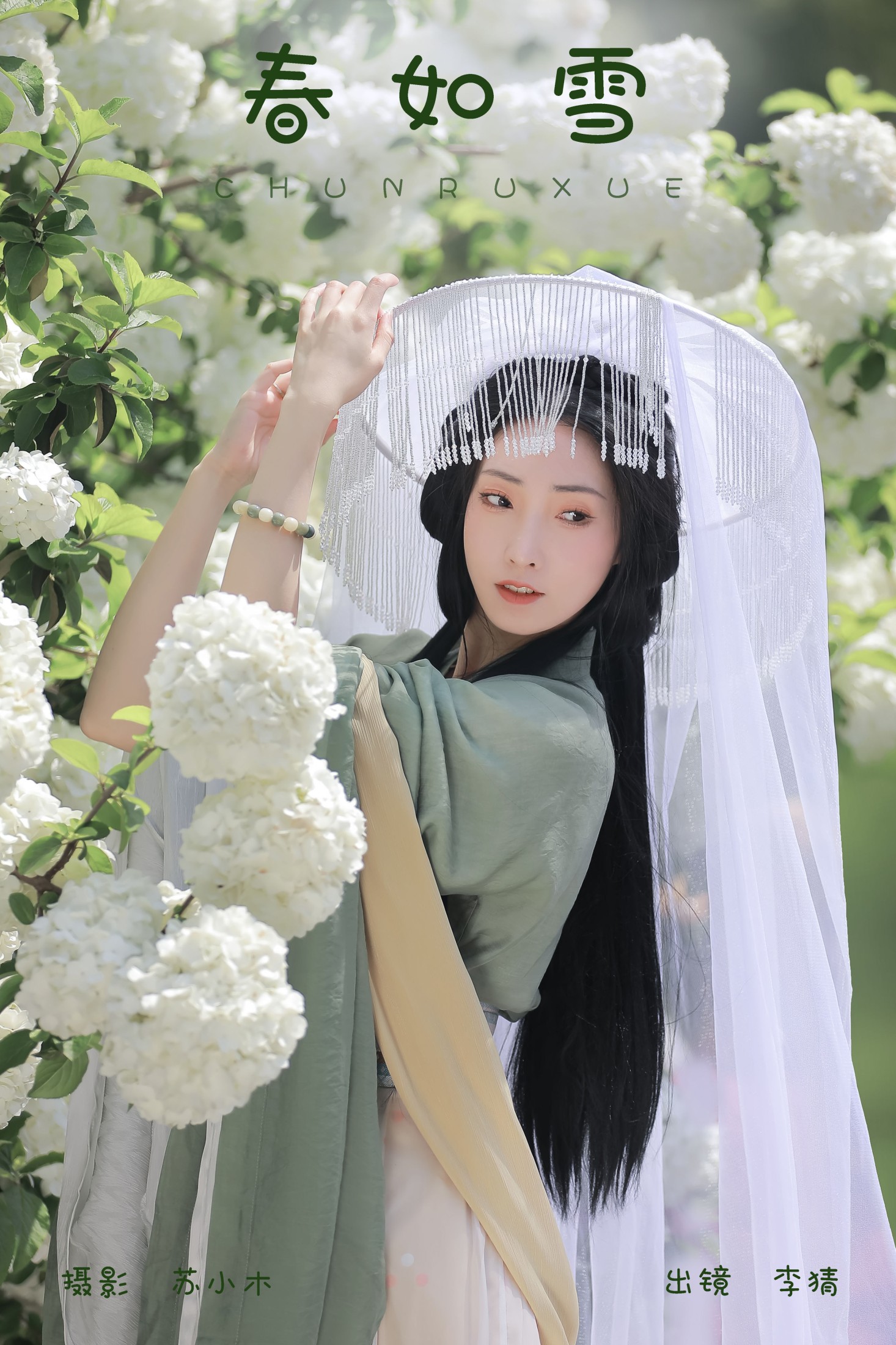 春如雪