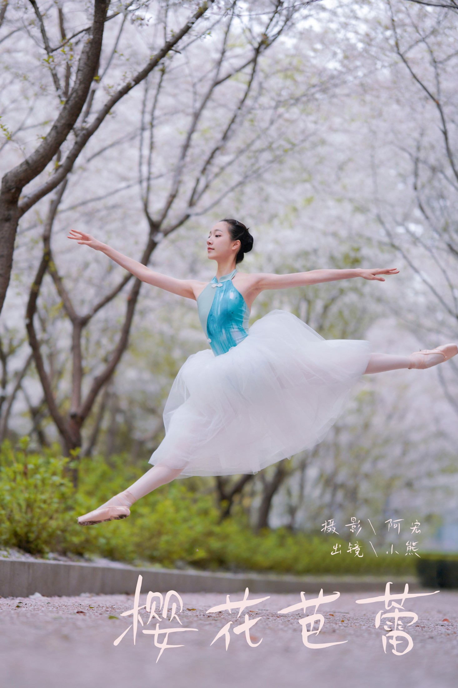 樱花芭蕾