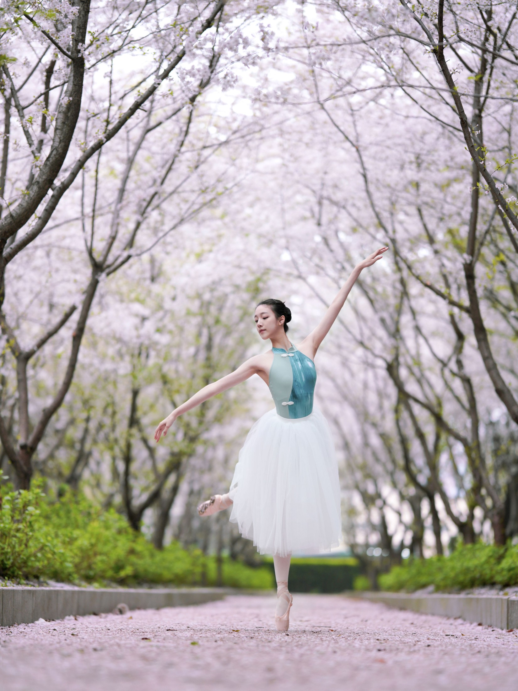 小熊 – 《樱花芭蕾》[25P]