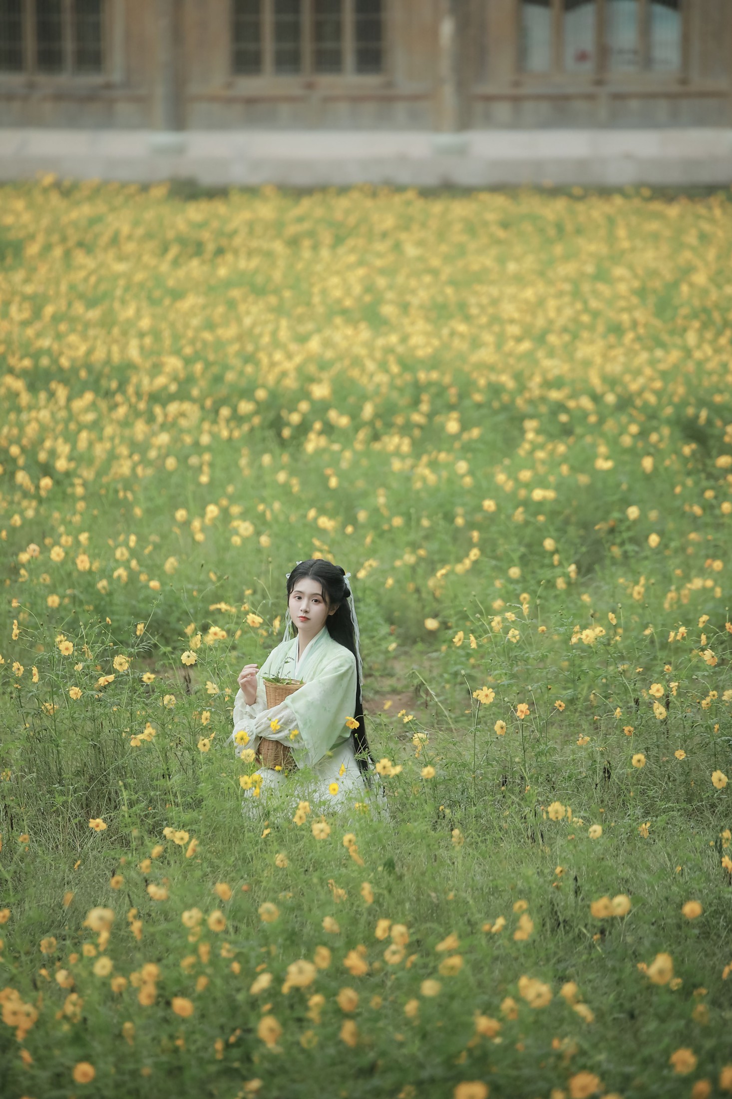 何香菇 – 《赵灵儿》[28P]
