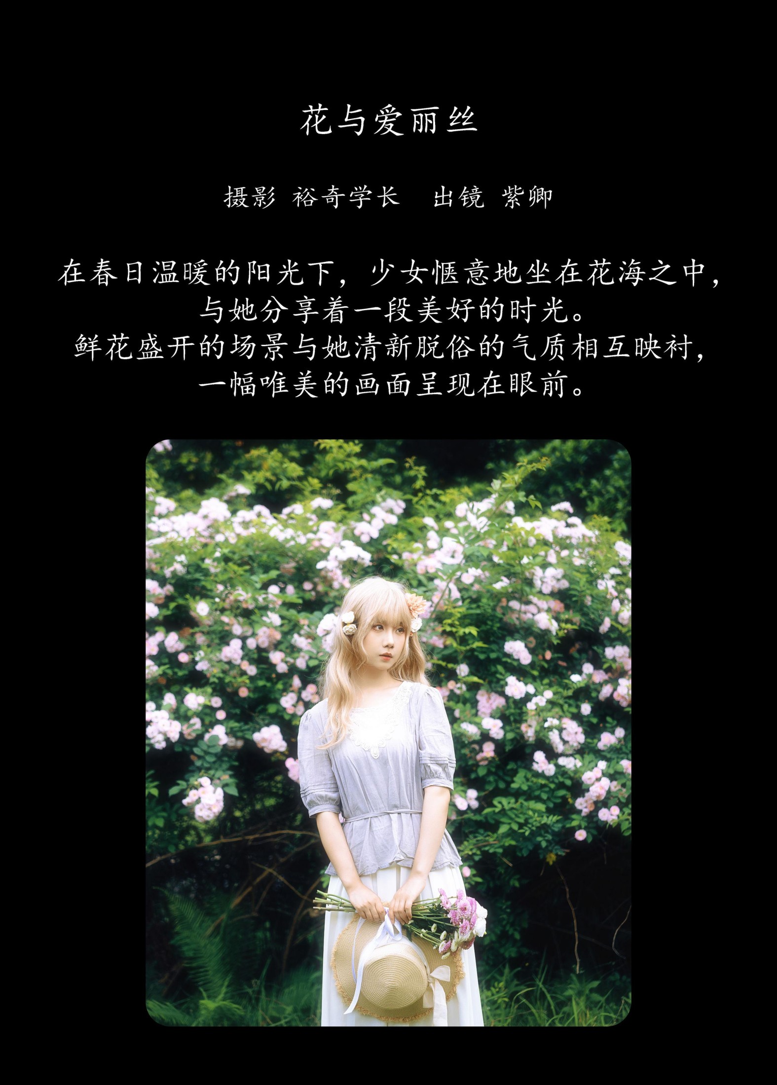 紫卿 – 《花与爱丽丝》[22P]