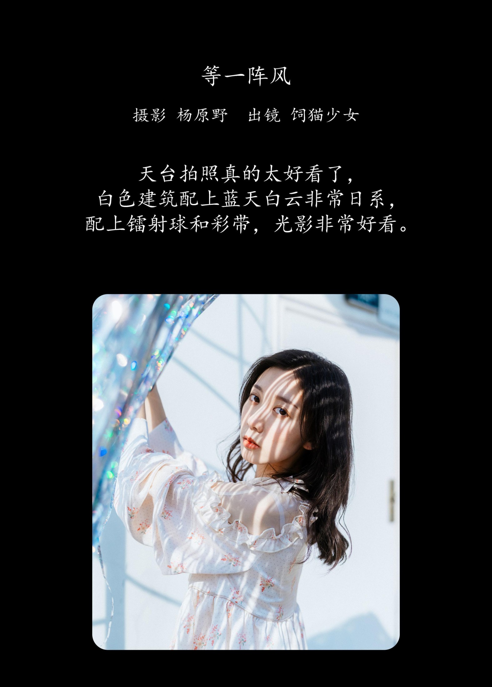饲猫少女- – 《等一阵风》[27P]