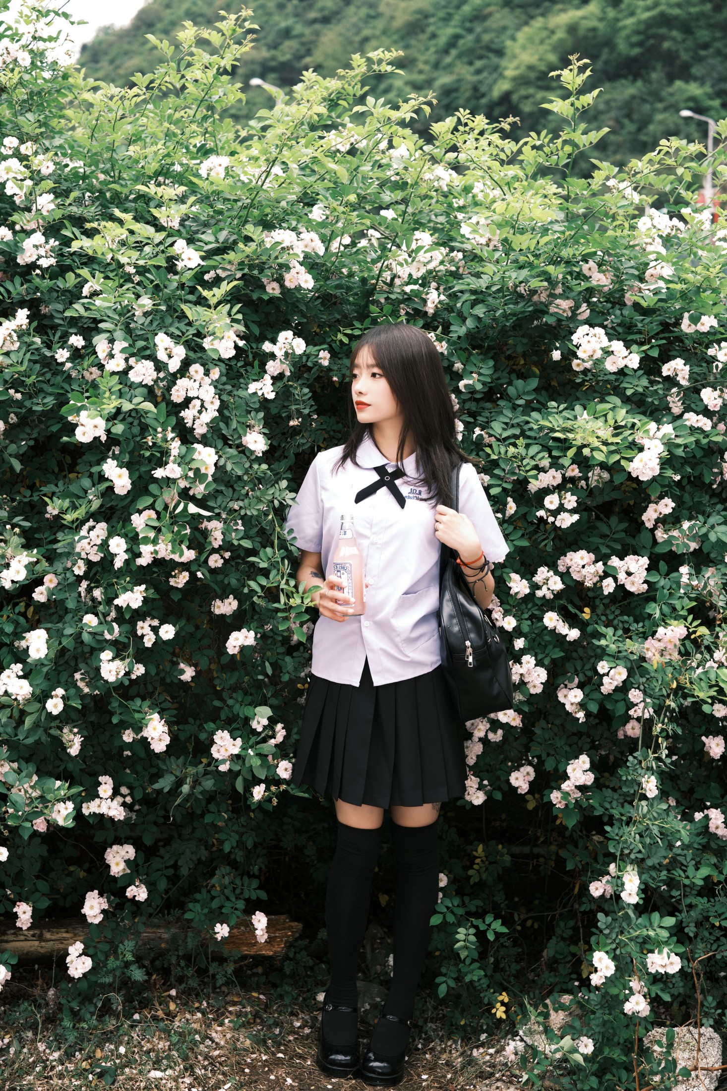 叶耶耶耶耶 – 《蔷薇少女》[25P]