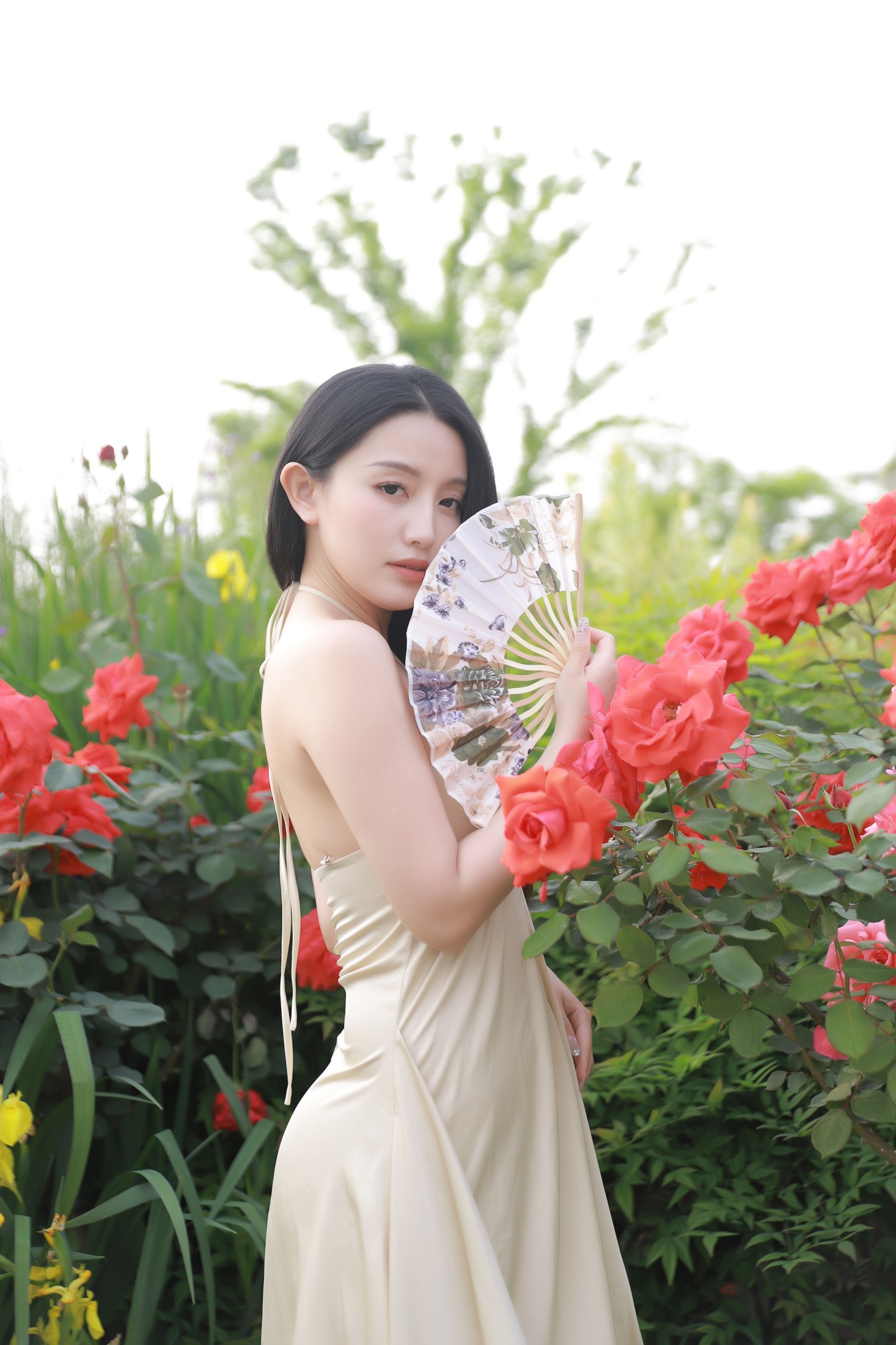 婧仔jinns – 《半阙春风》[30P]
