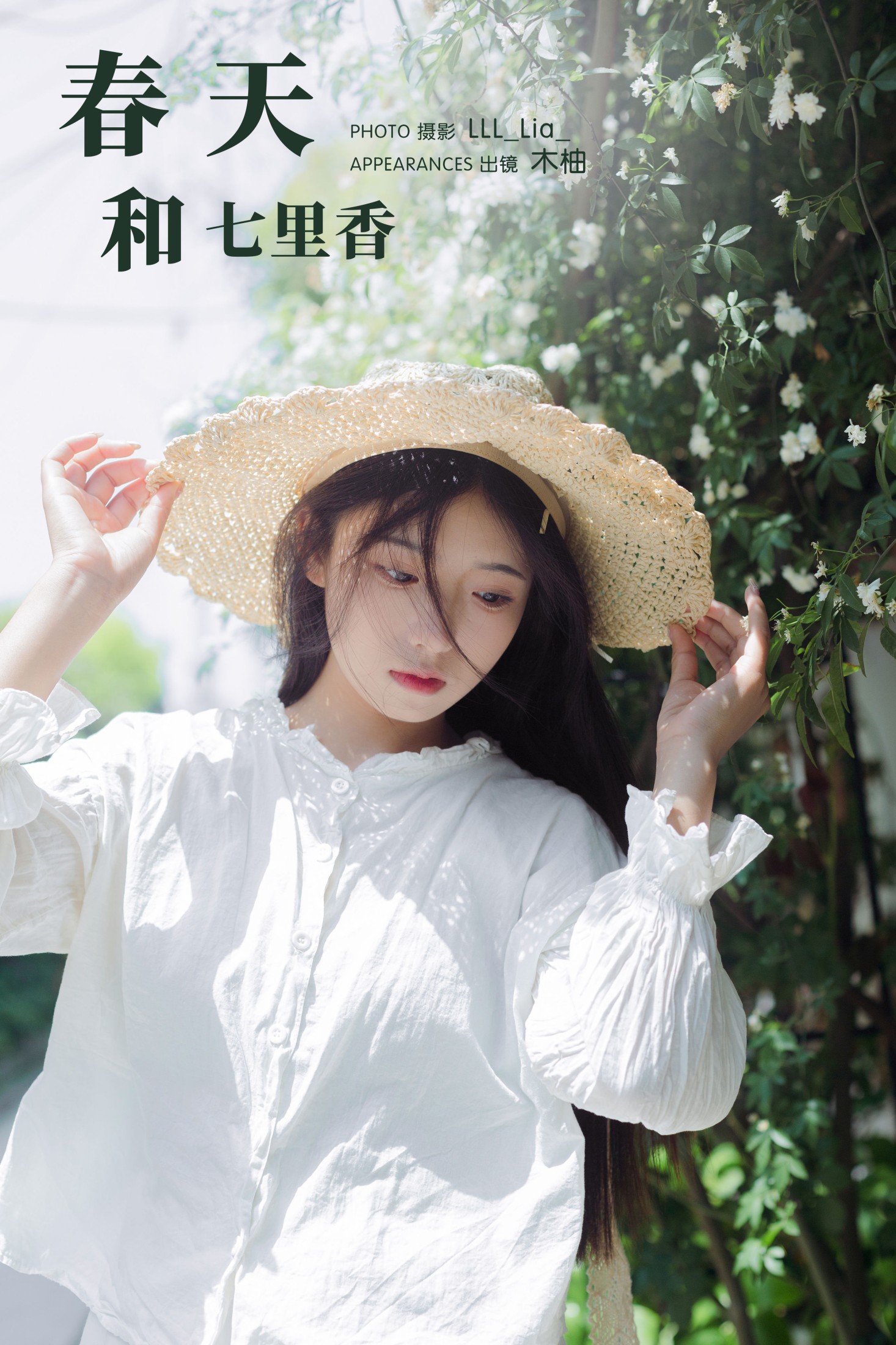春天和七里香