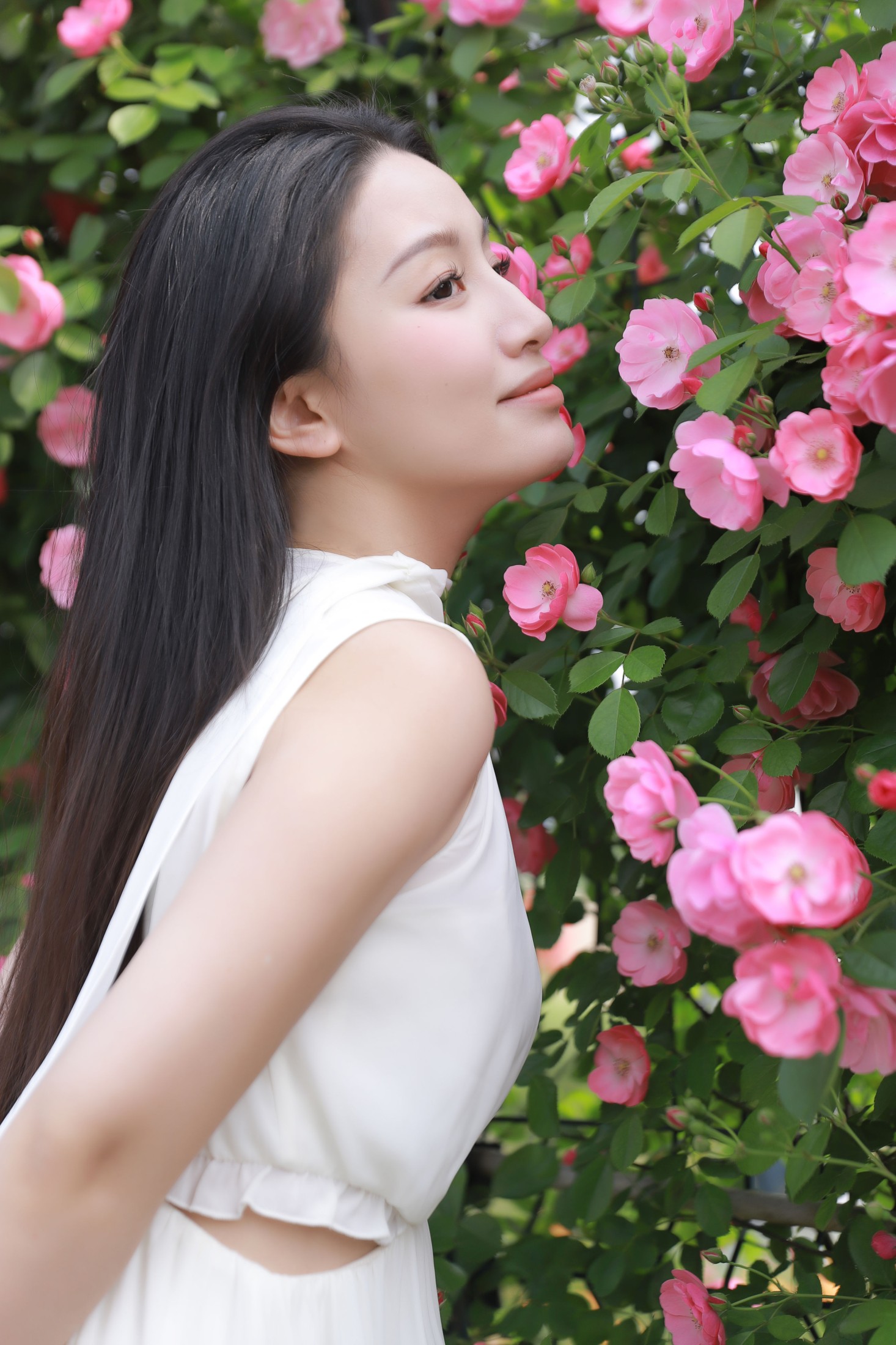 婧仔jinns – 《白昼日》[32P]