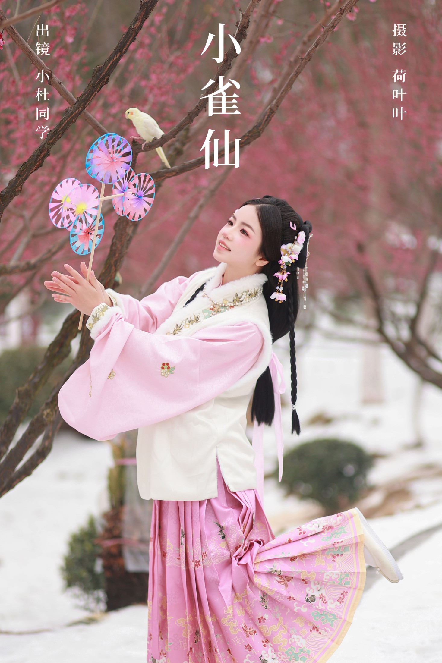 小雀仙